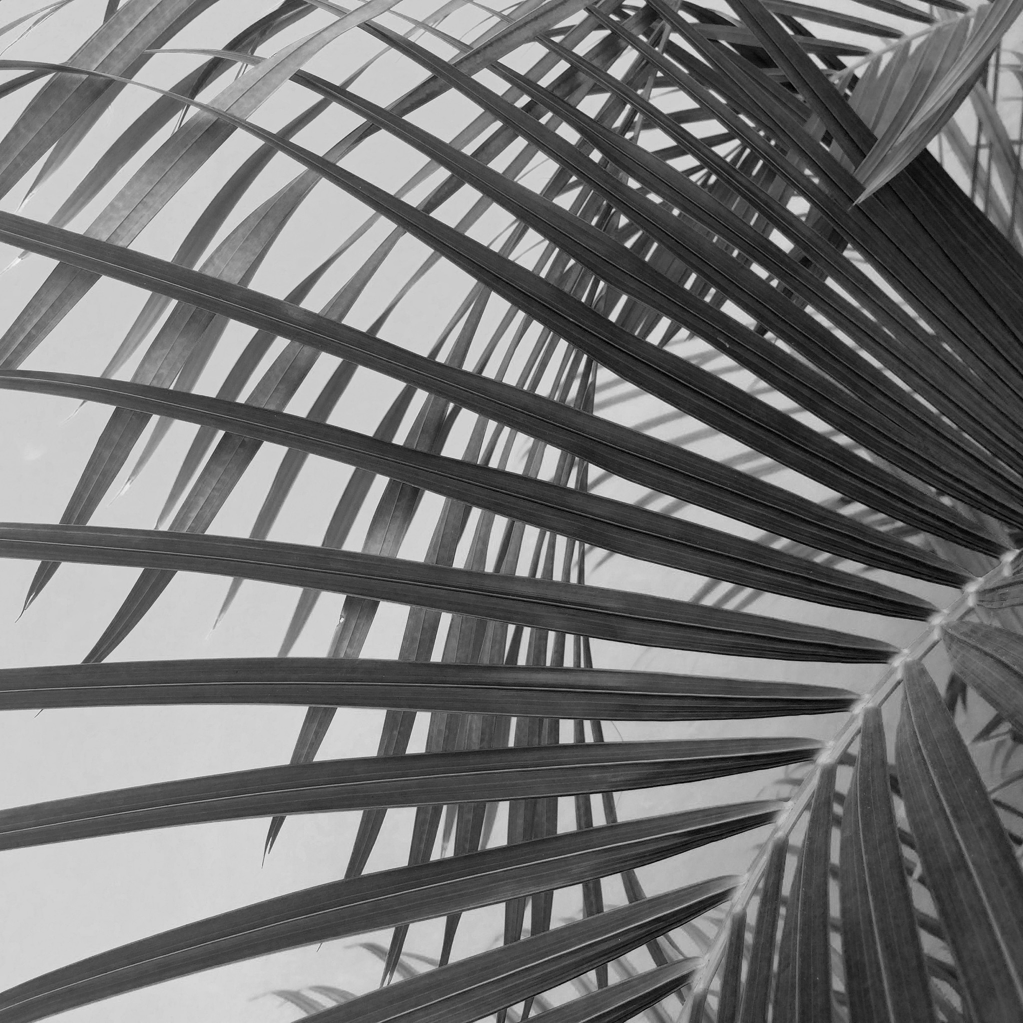 线条的力量：如何运用线条构图拍摄震撼照片