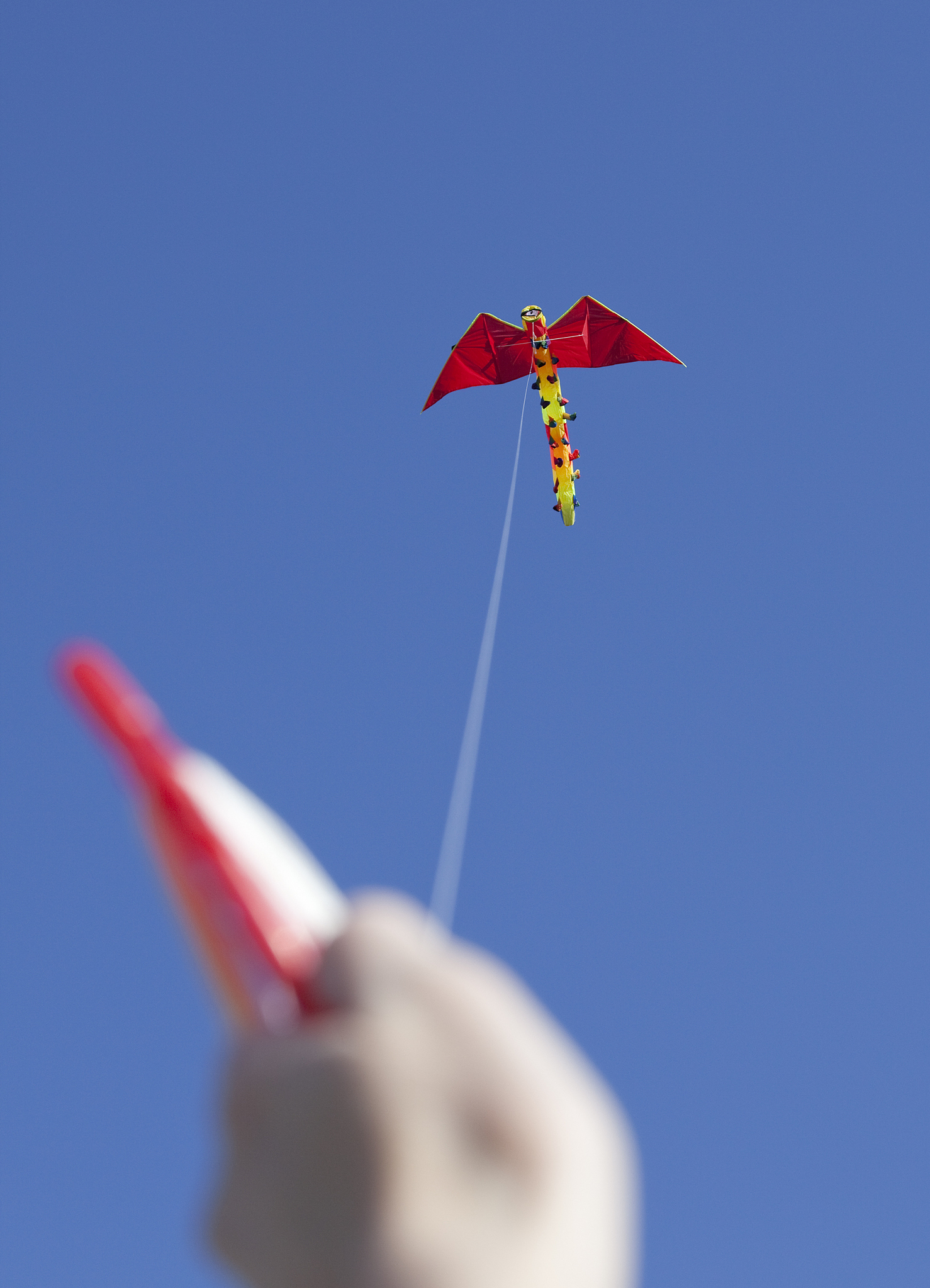 flying a kite