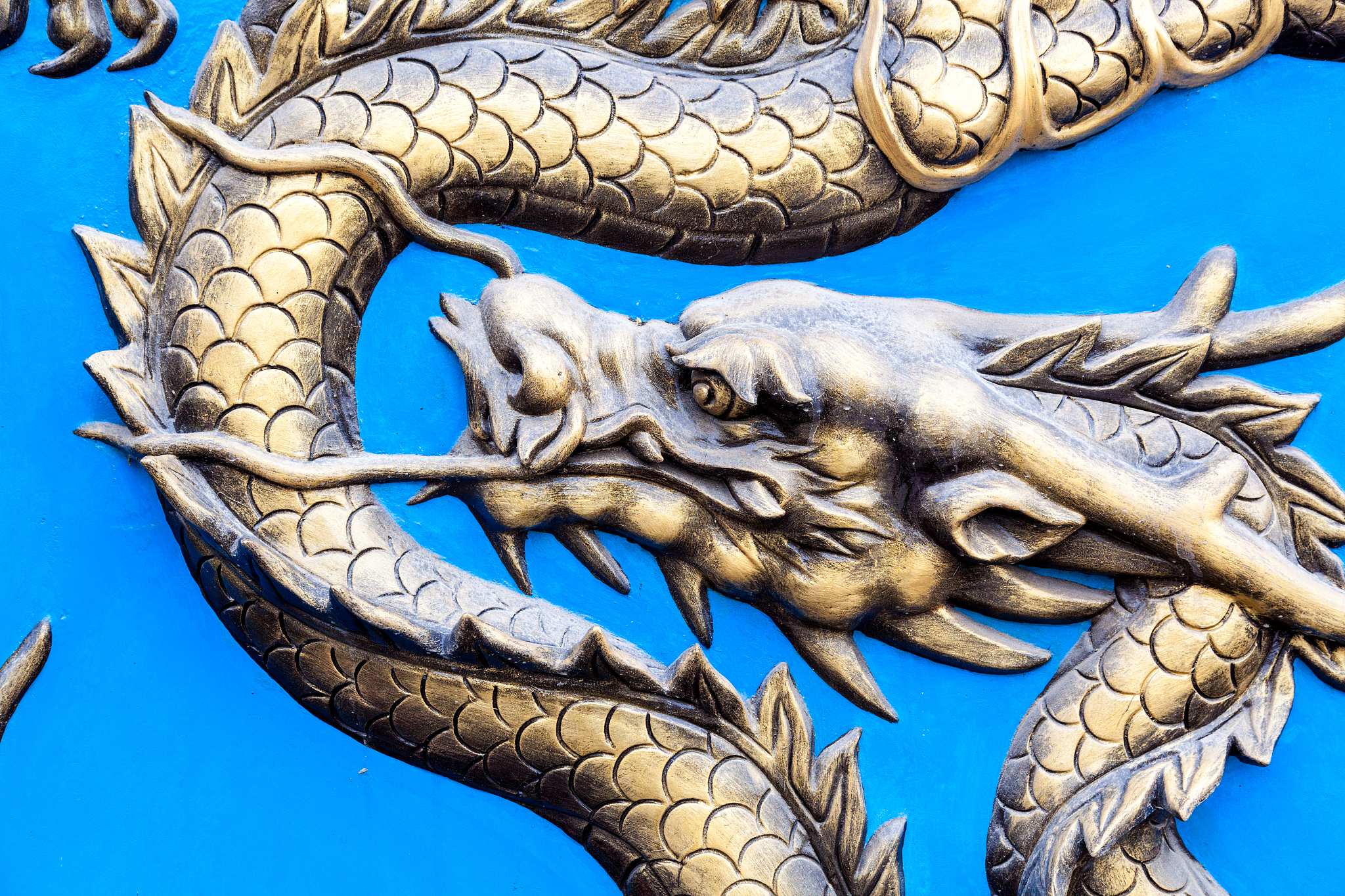 dragon