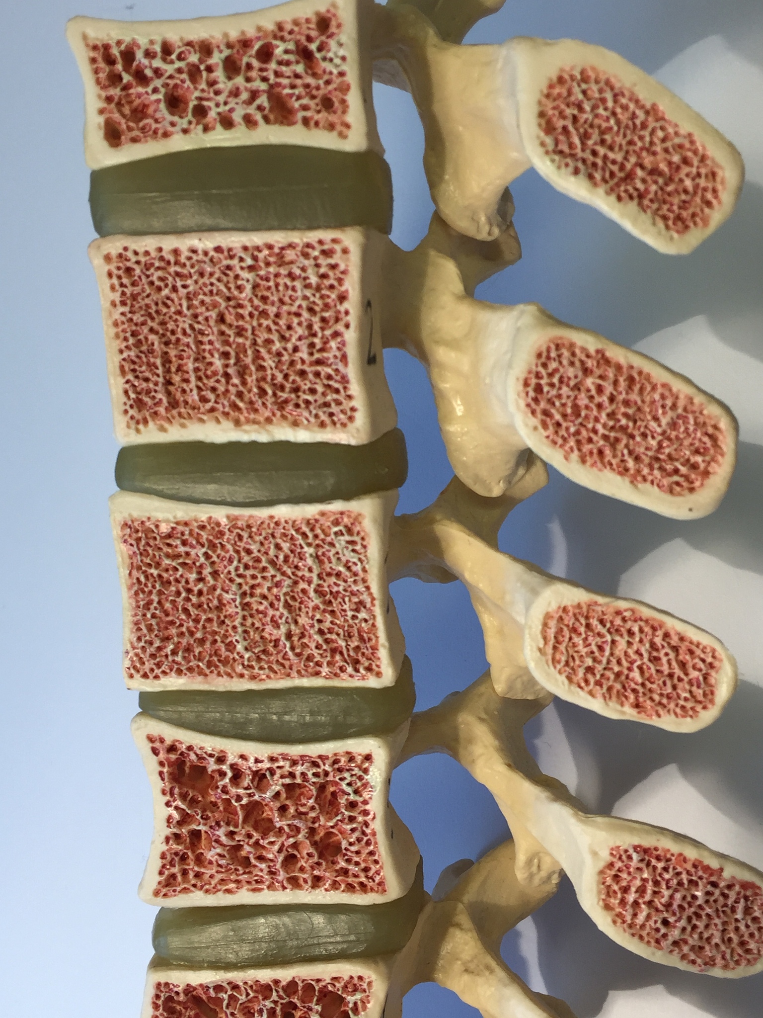 山西同文职业技术学院药品经营与管理专业优势怎么样发展前景好不好呢；：：；；