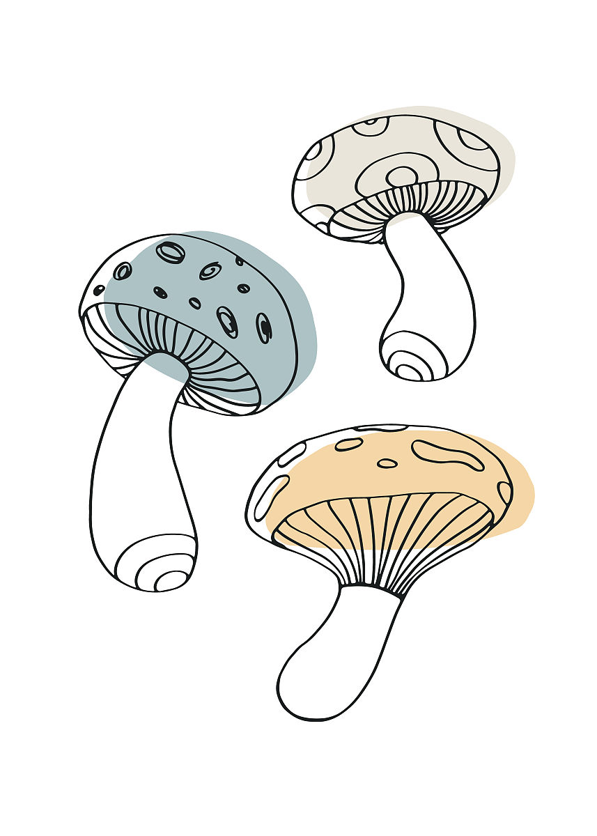 陕西科技大学服装设计与工程专业就业前景分析