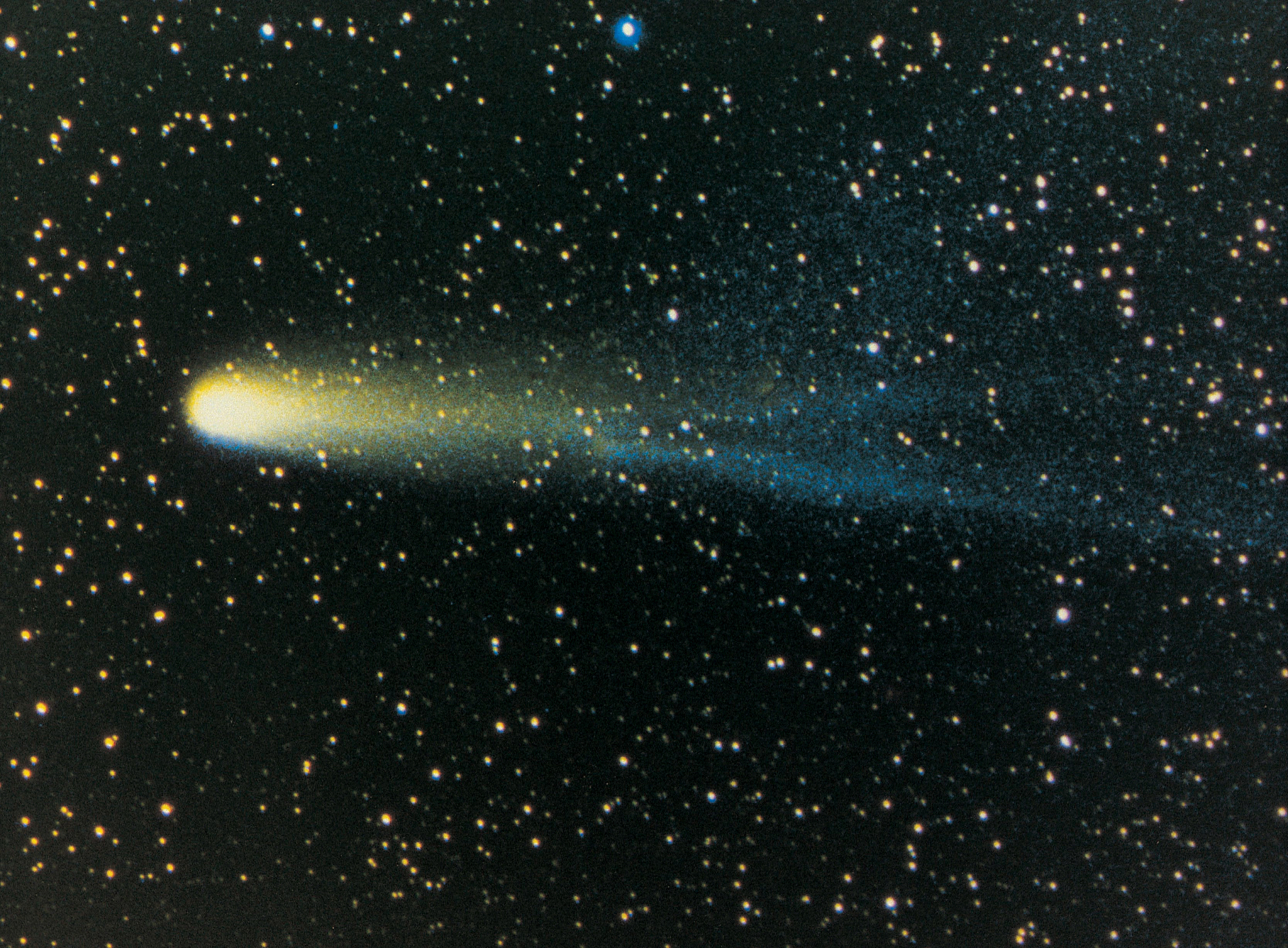 halleys comet