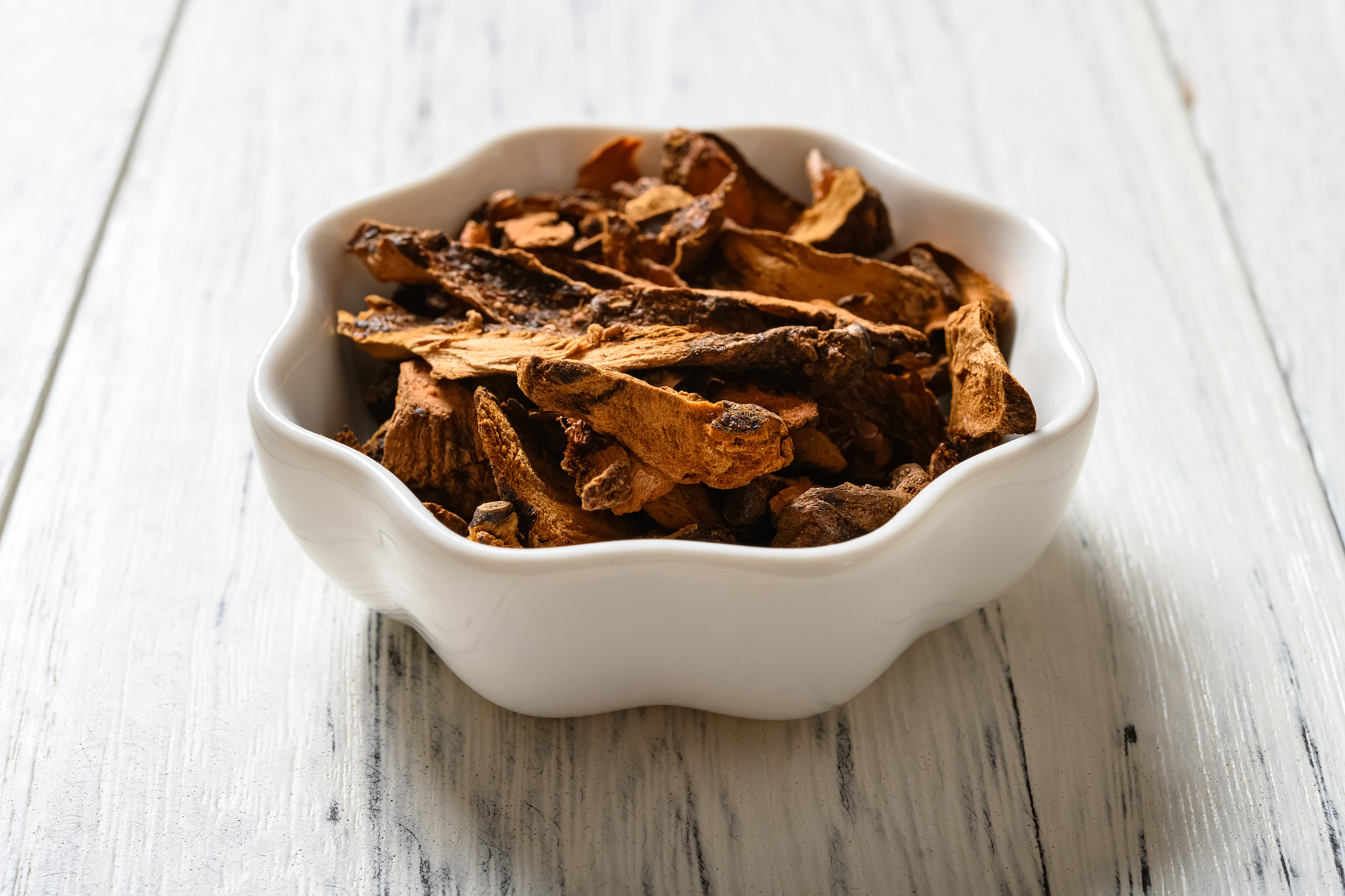 辽宁中医药大学杏林学院有哪些专业及什么专业好