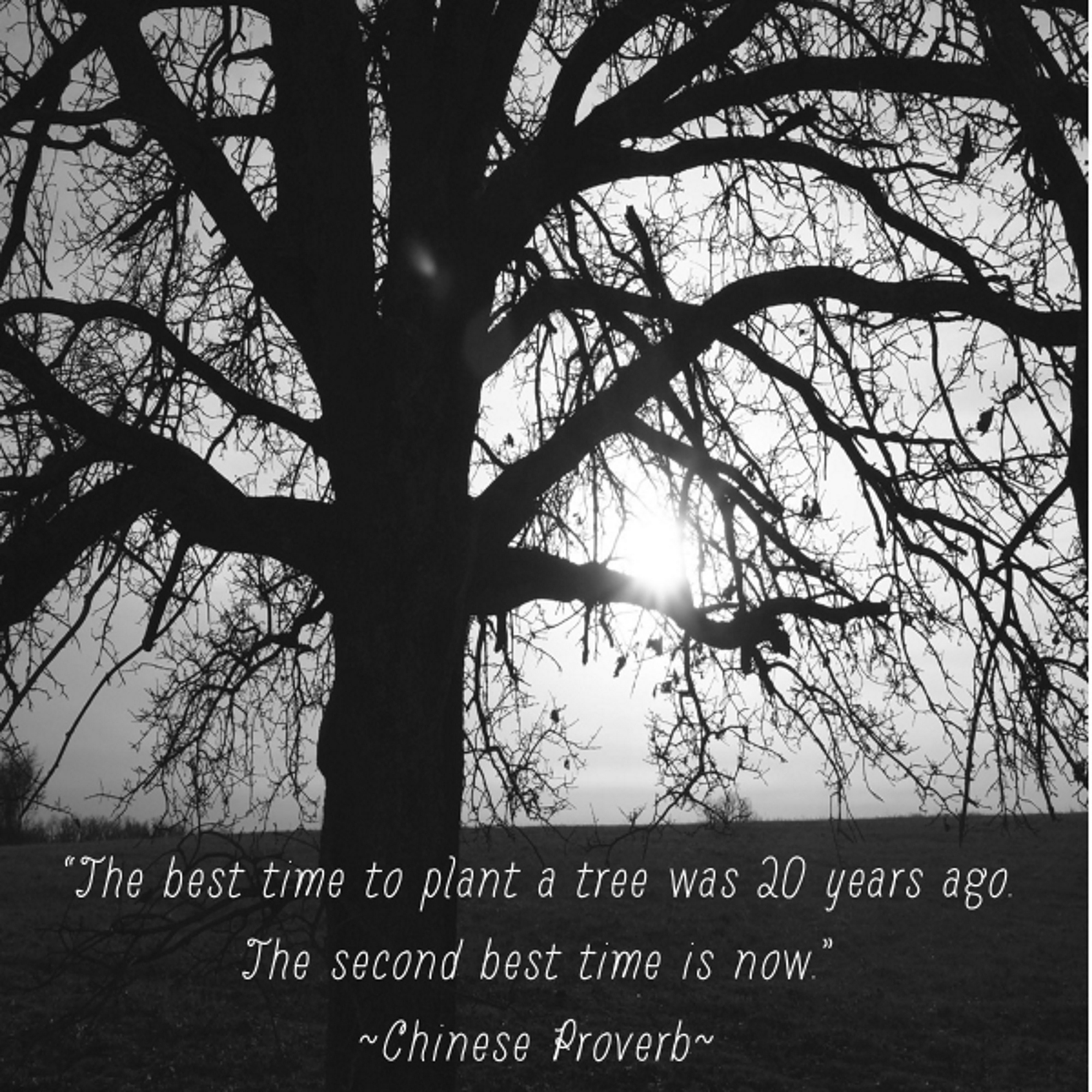 三十如狼四十如虎