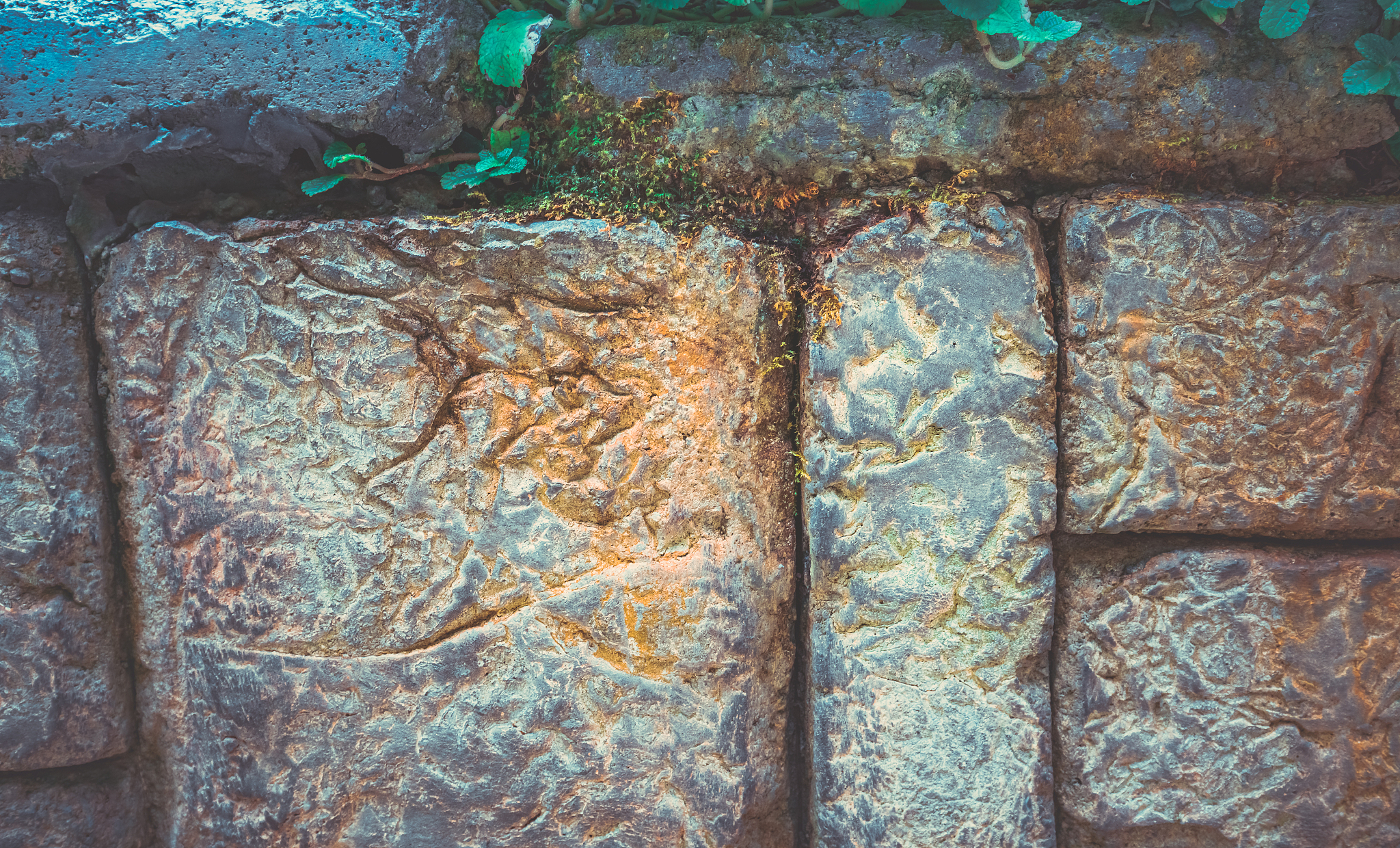 wall with green leaves stock photo