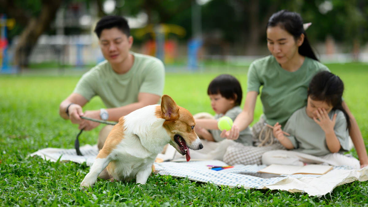 帮我照顾好这个小伙伴