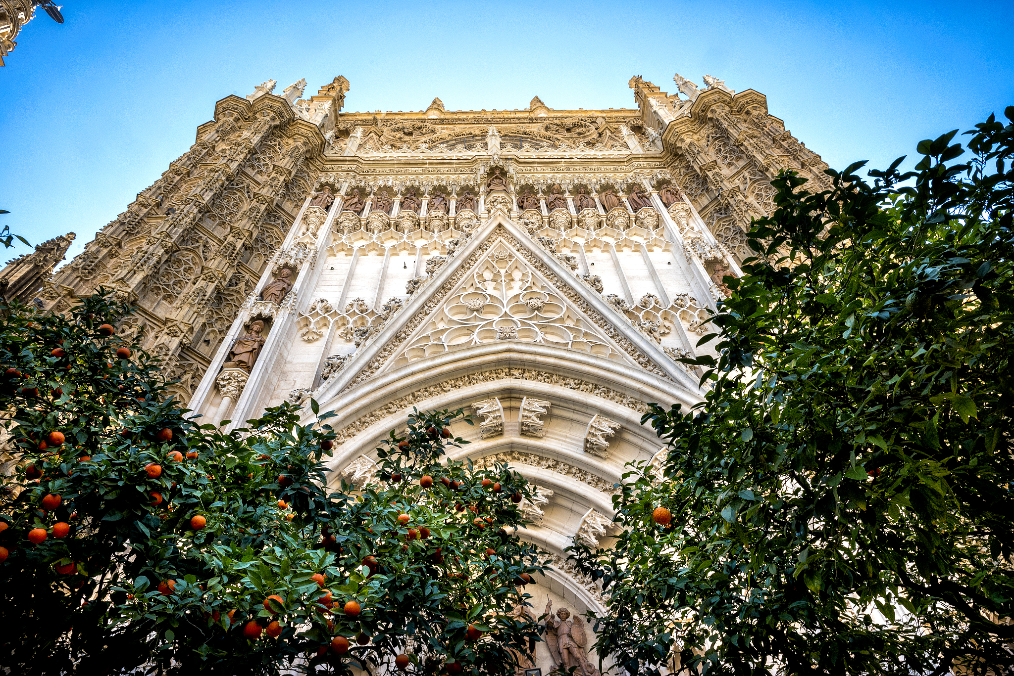 seville: cathedral of santa maria de la sede de sevilla, in anda