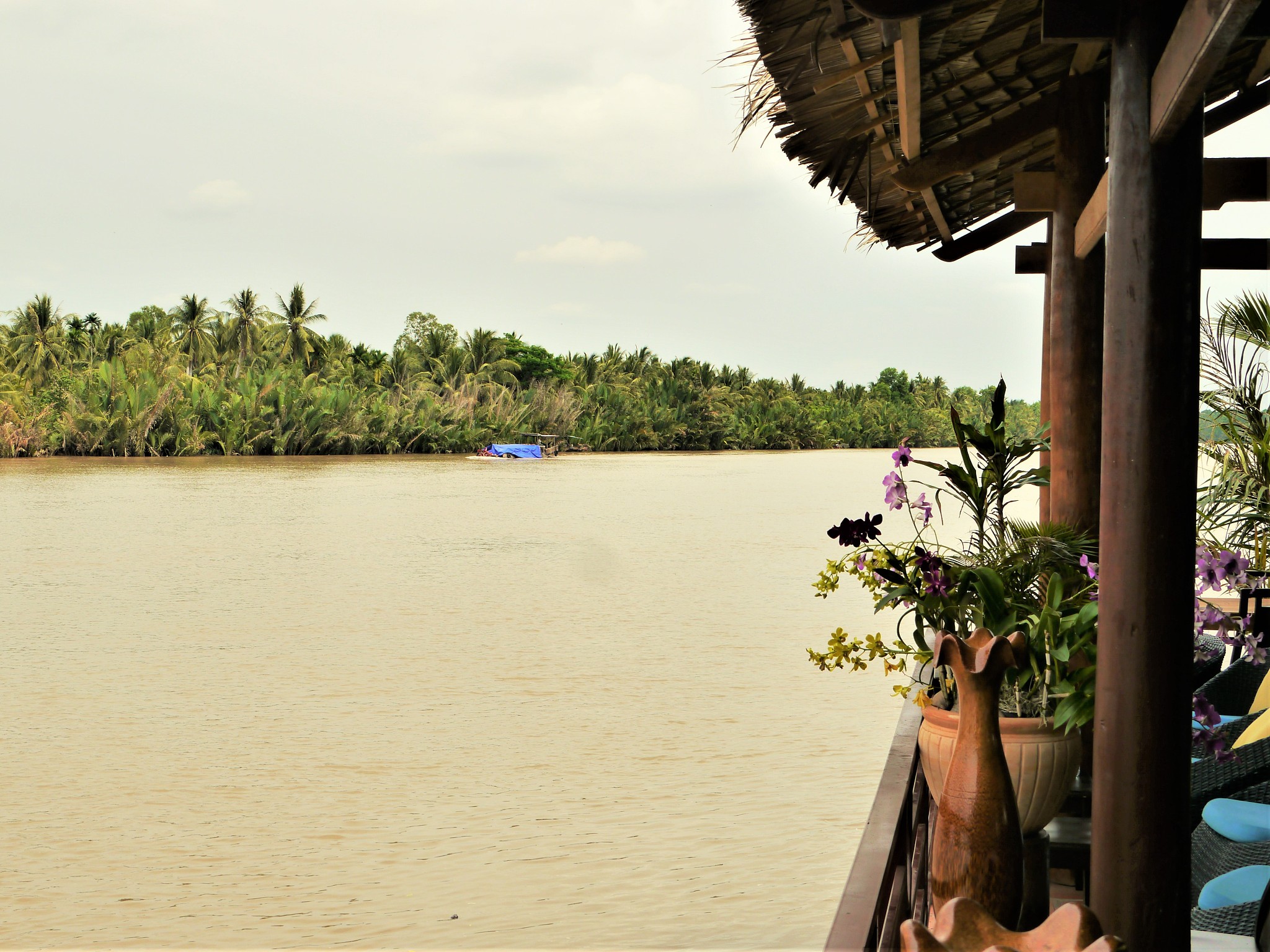 生成一千字湄公河行动观后感