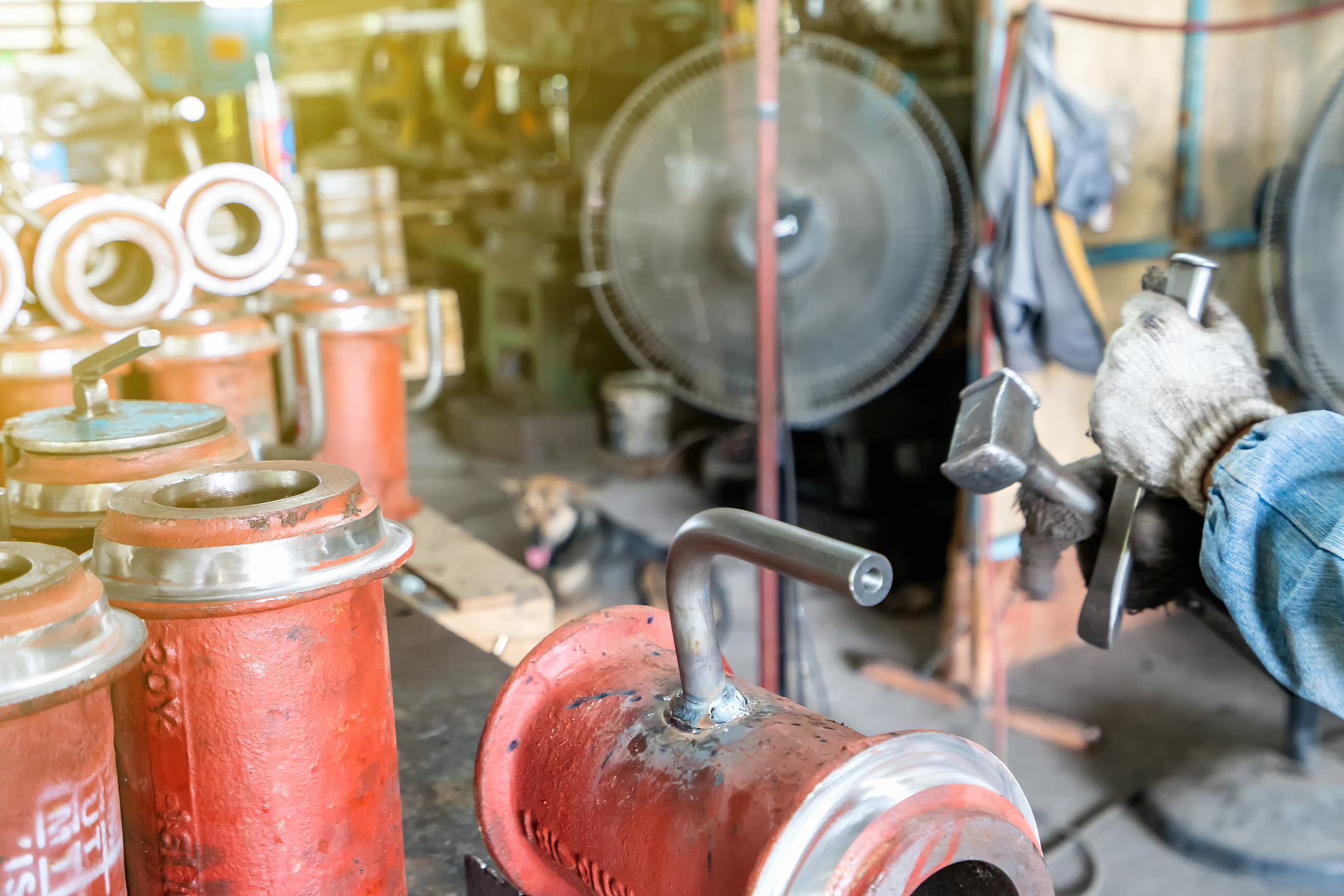 泉州工程职业技术学院单招有药剂专业吗？ - 专业选择指南