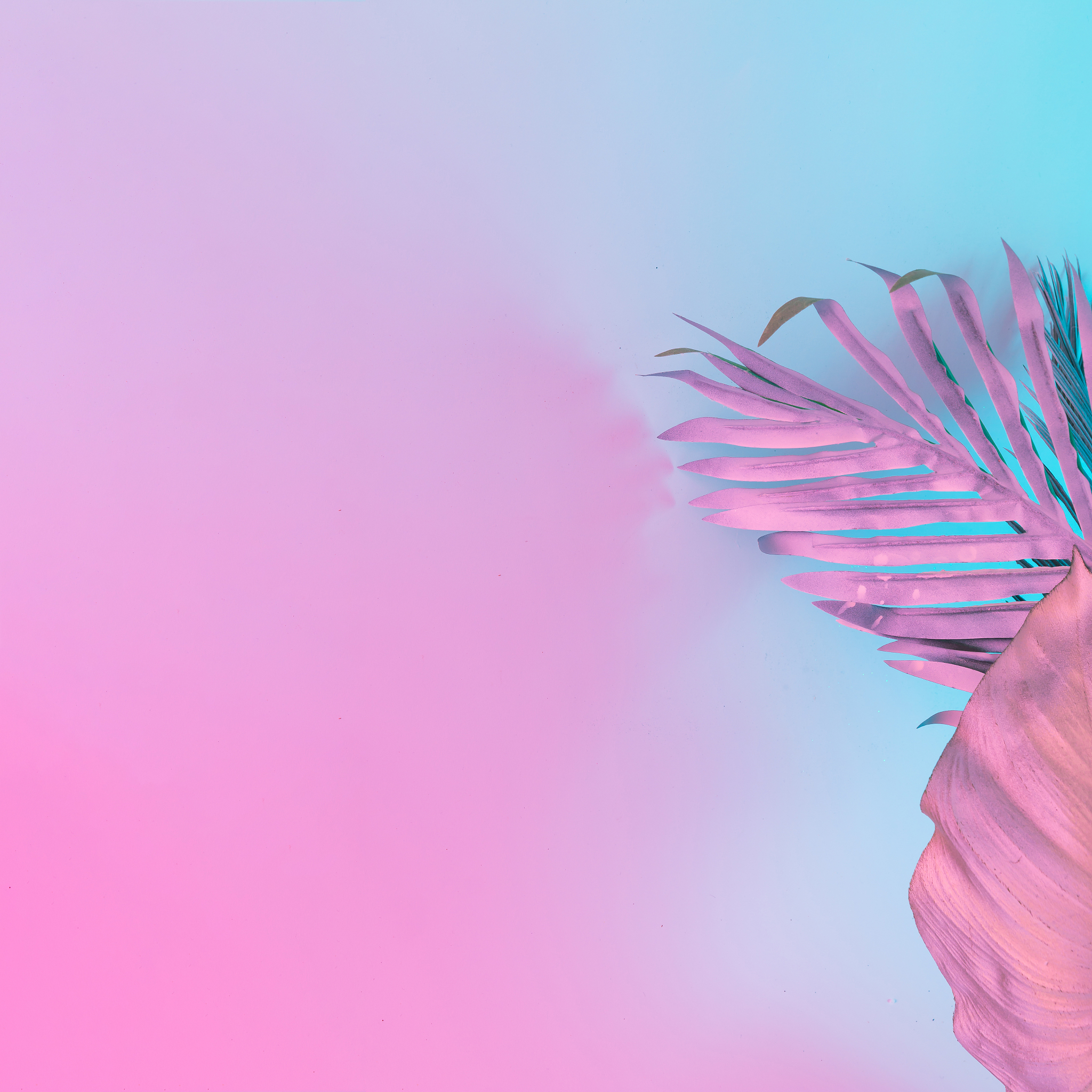 邵东一中李长云老师是否教过丙烯班？