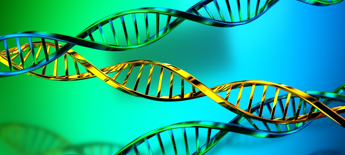 中文2000字回答生物技术的未来