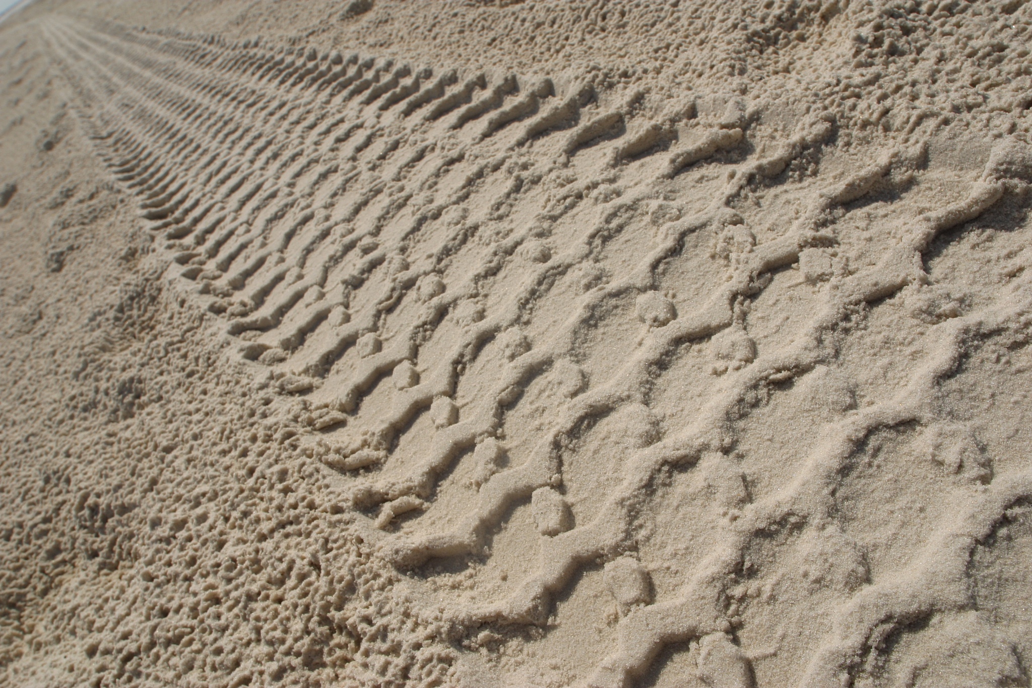 close-up of tire track in sand on beach