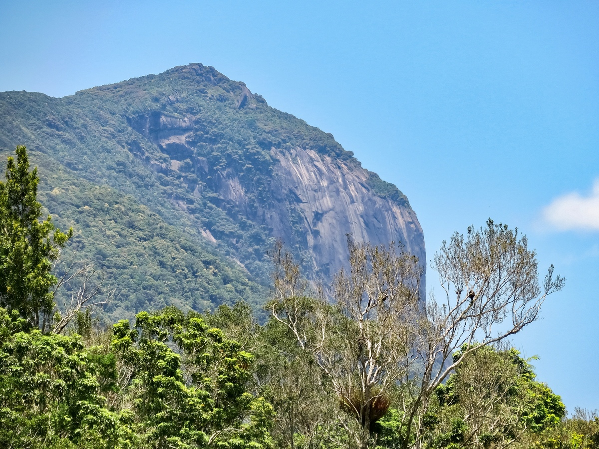广东哪里有较高的地方。告诉我详细信息如高度、等