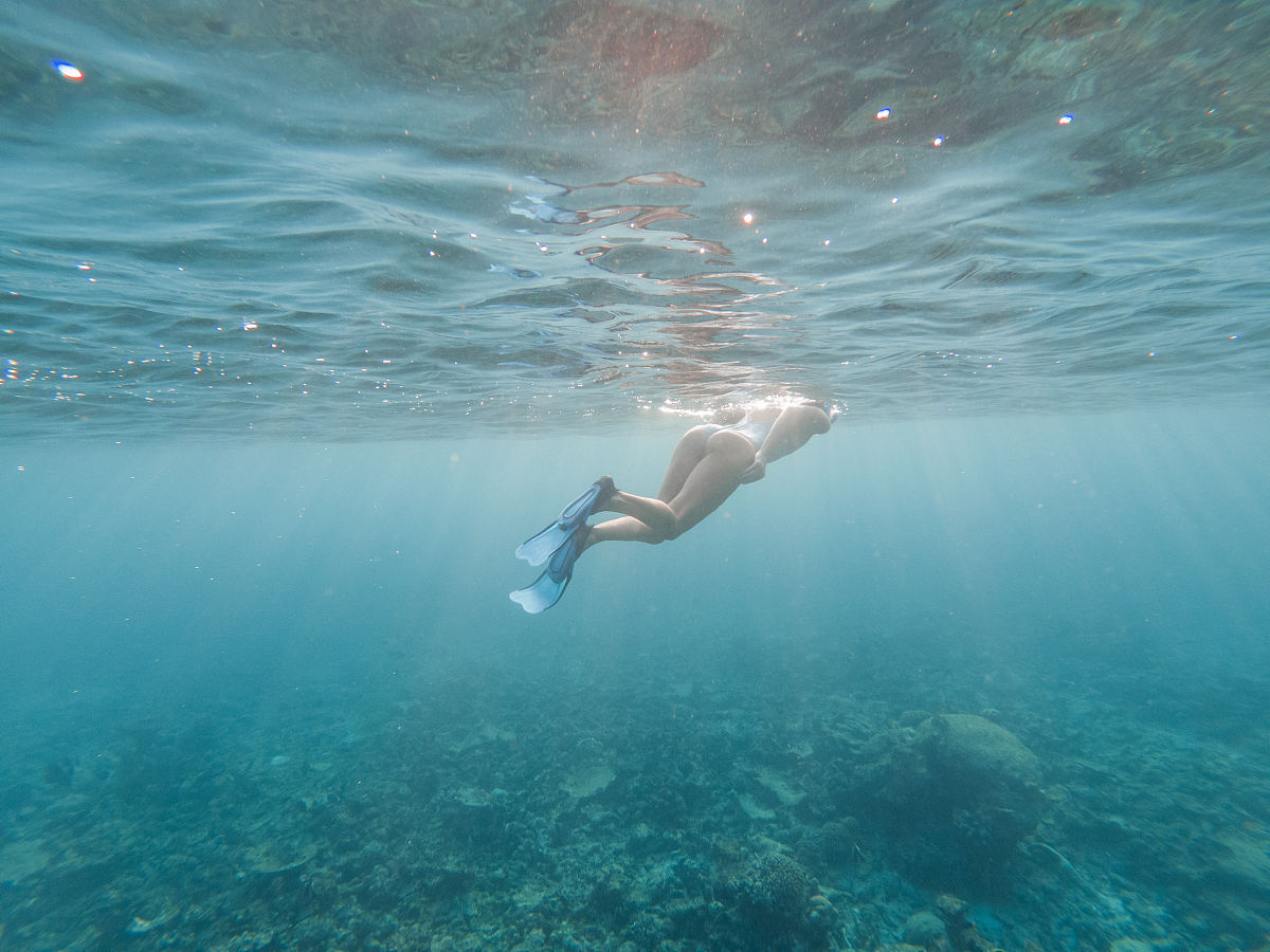水下艺术：梦幻海底世界，艺术的奇妙之旅！