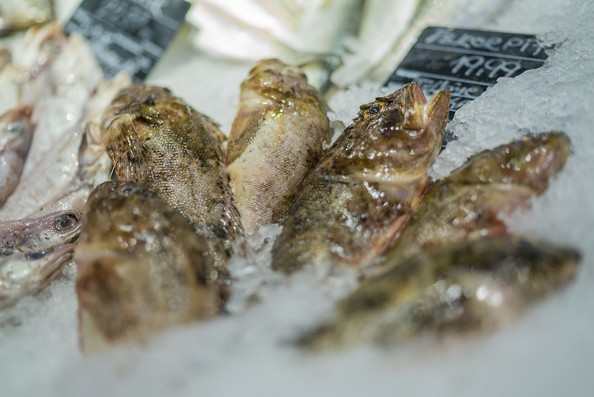 斗破苍穹里有哪些魔兽