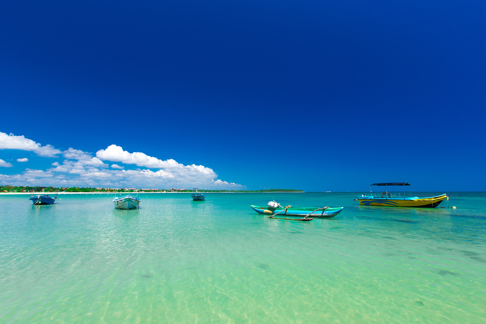 beautiful beach and tropical sea