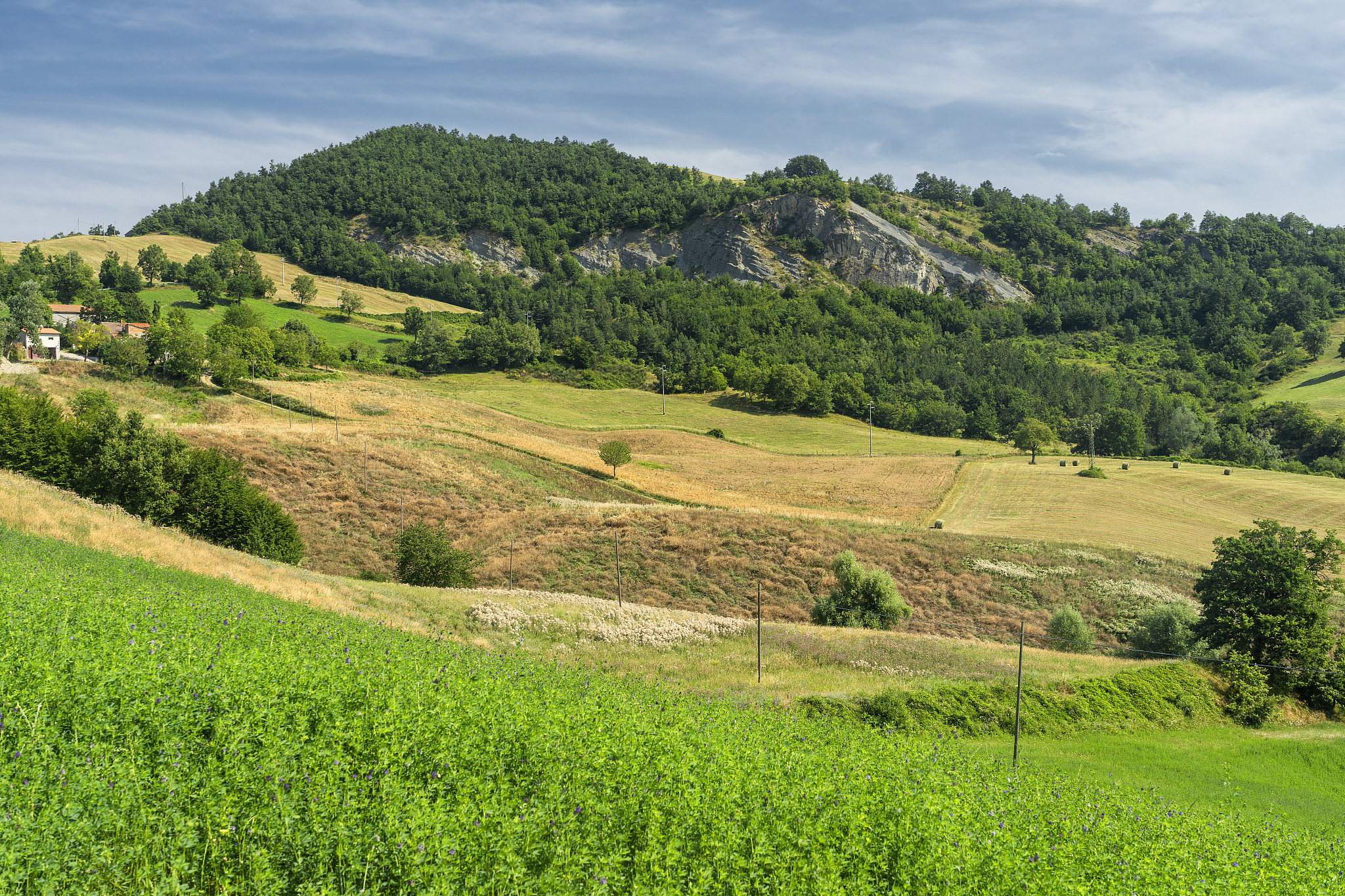 summer landscape near bagno di romagna, in the appennino