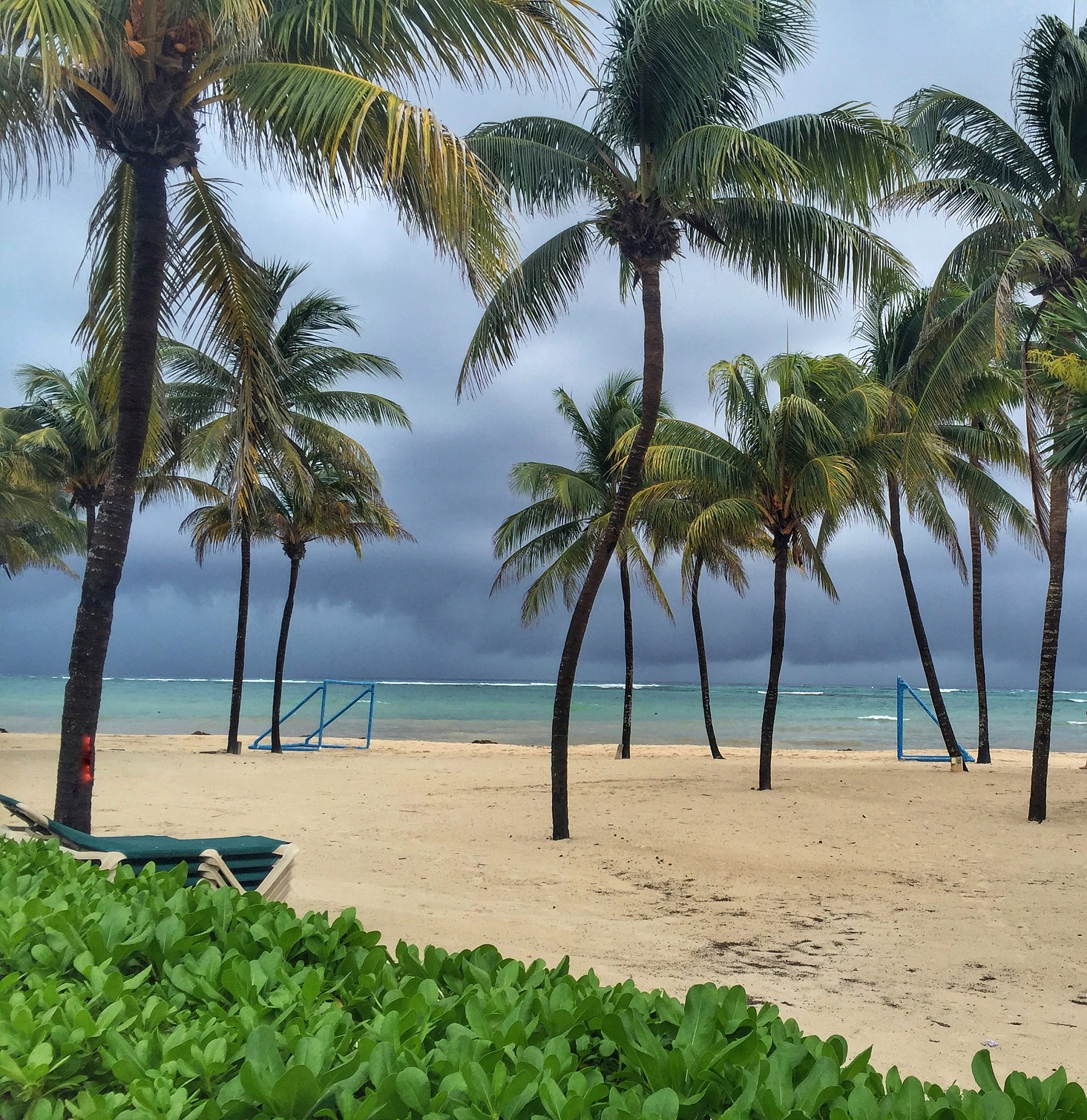 热带天气和气候现象：最新研究成果与未来展望