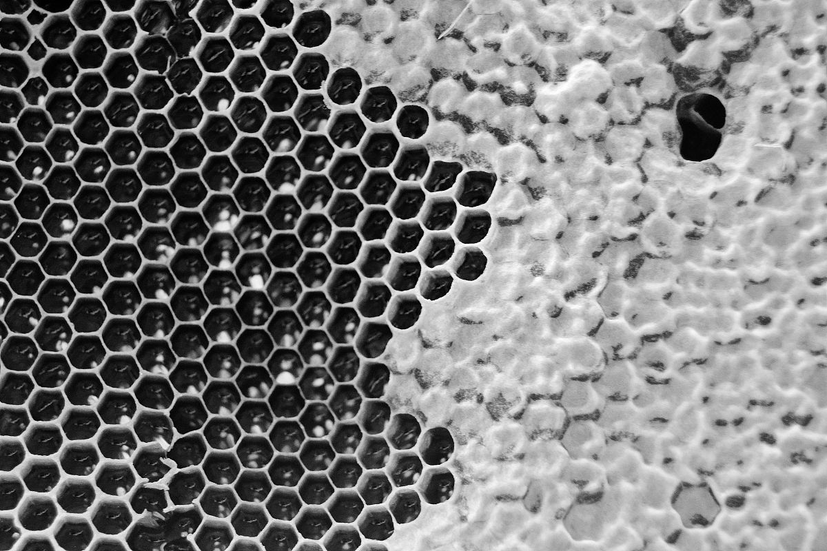 碳纳米管的热学性能方面的应用300字