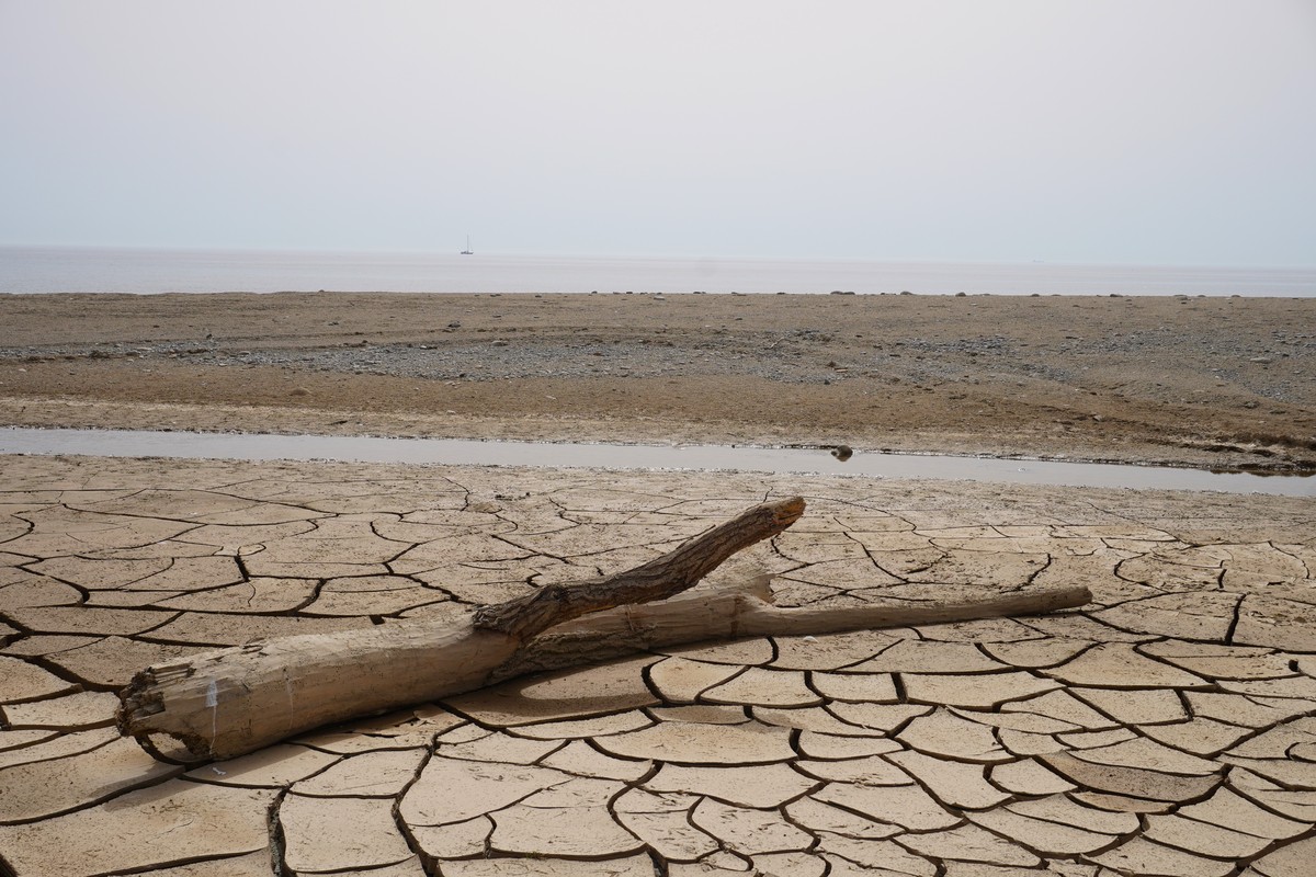 江西遭遇百年罕见干旱！鄱阳湖水位创历史新低，经济损失超70亿元