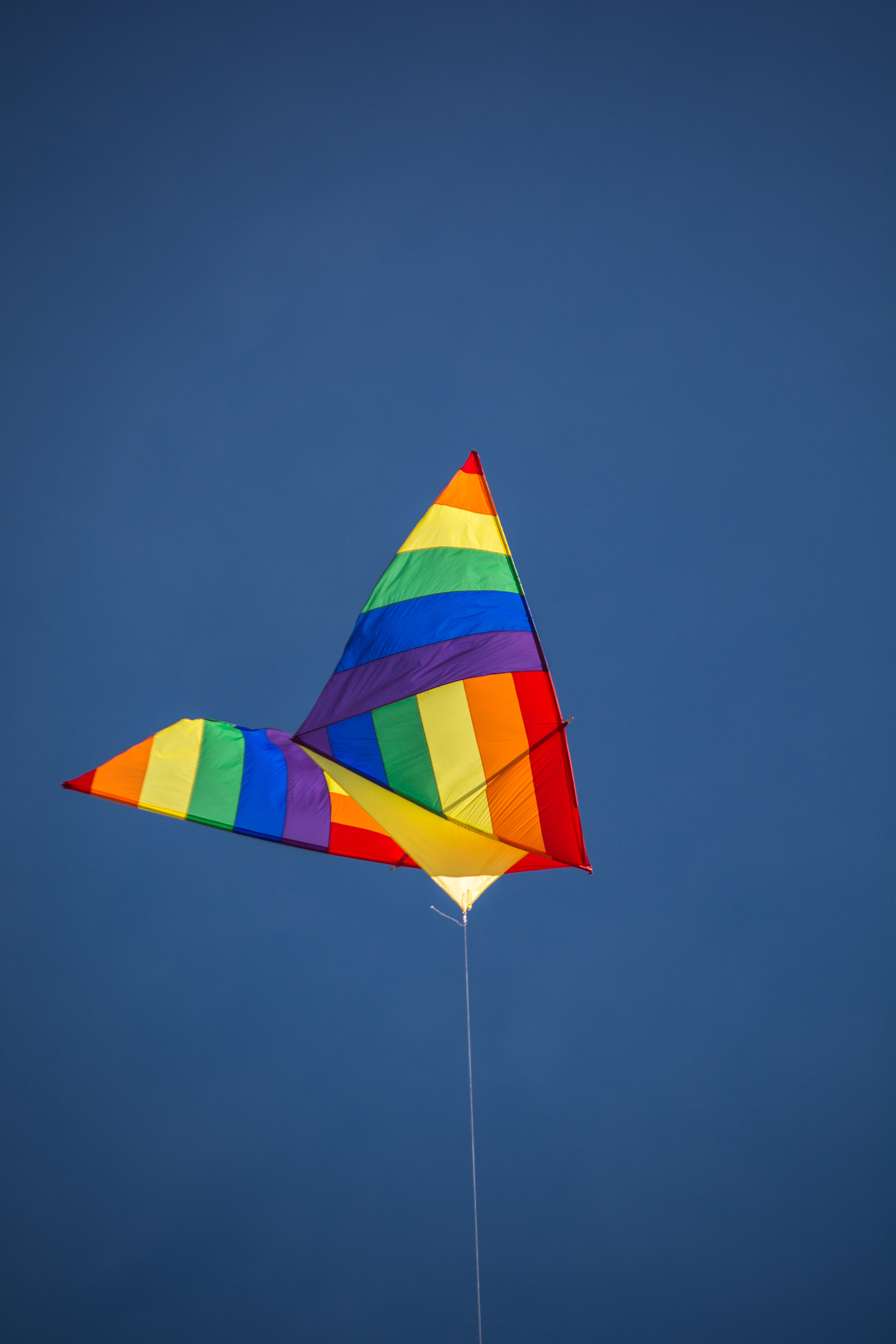 colorful kite in the sky