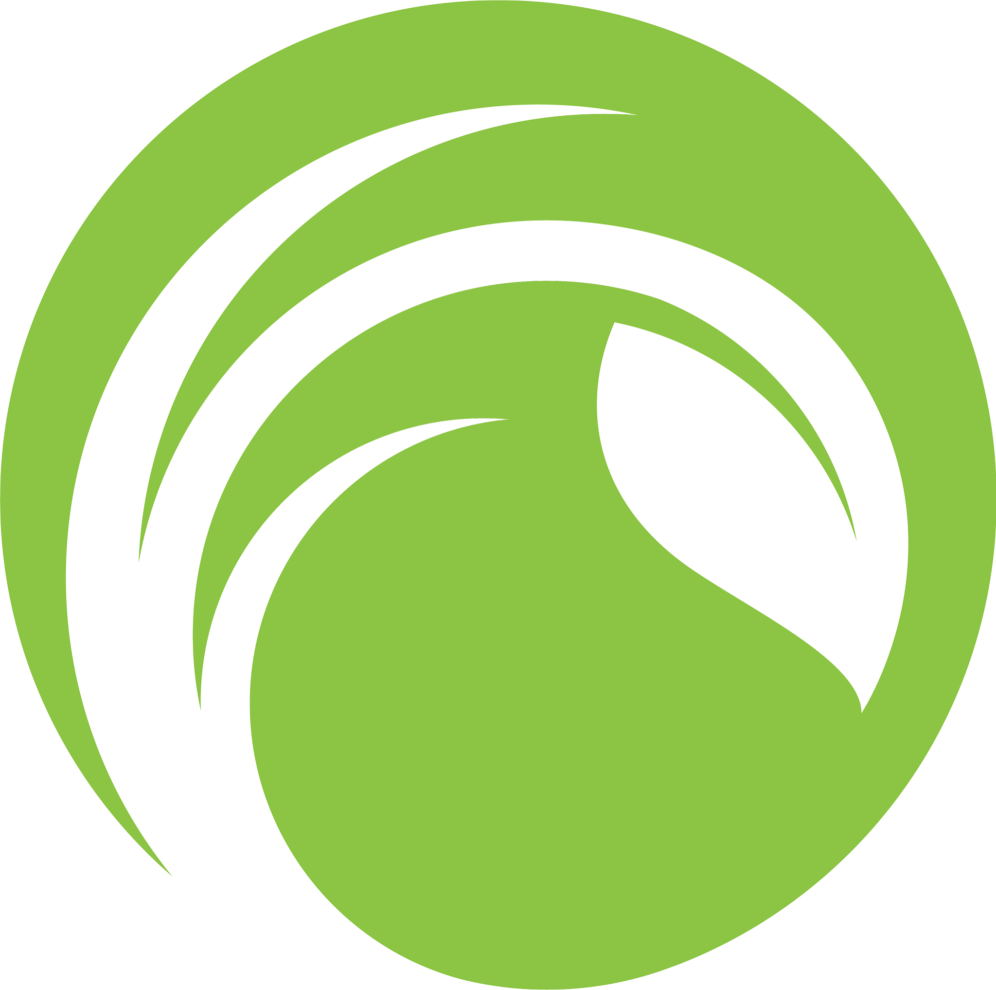 green tree leaf ecology nature element