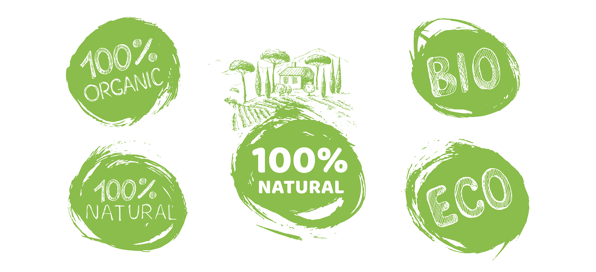 organic food labels set. hand drawn illustrations.
