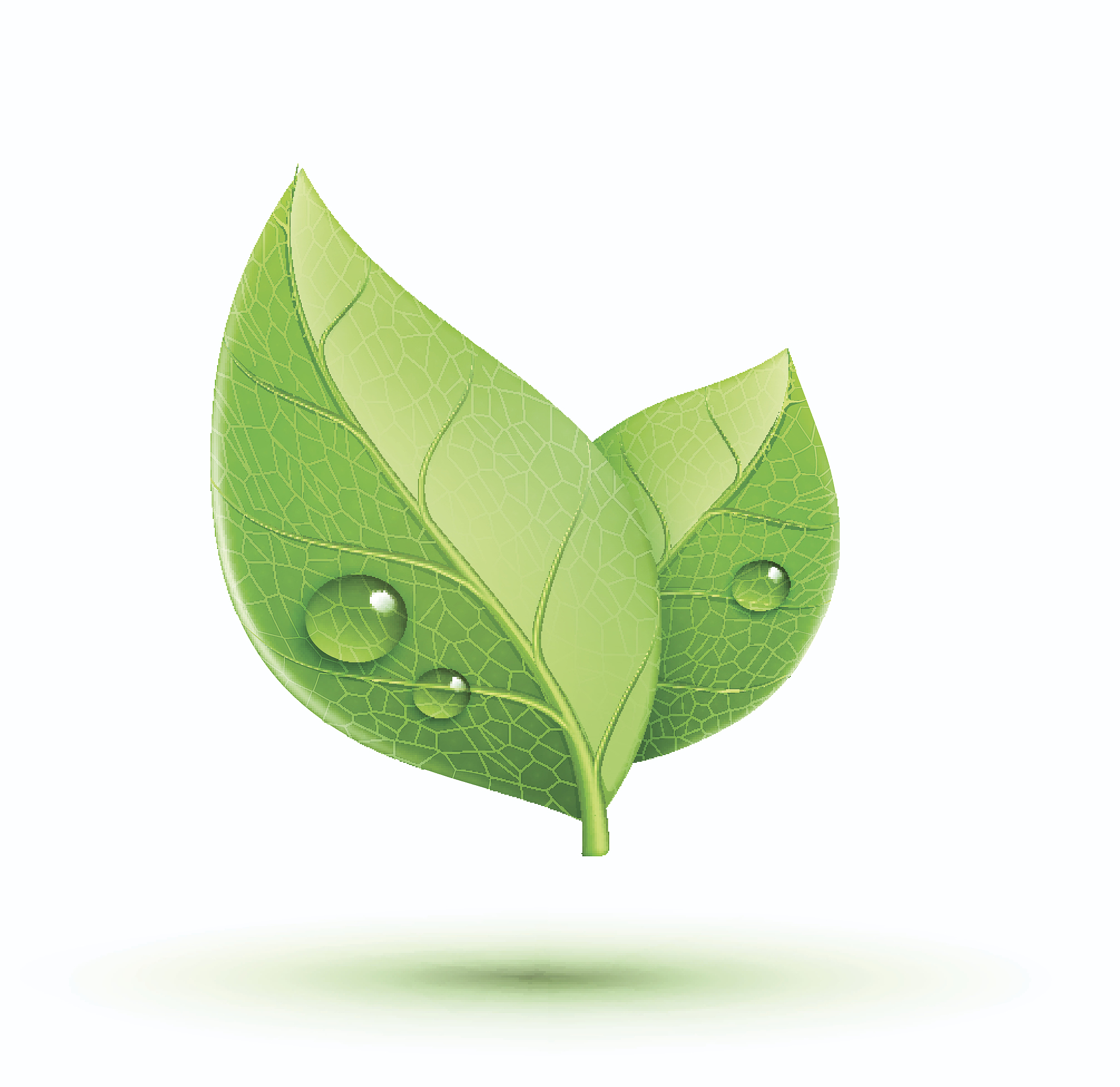 中链企通环保平台：一站式环保解决方案，助力绿色发展