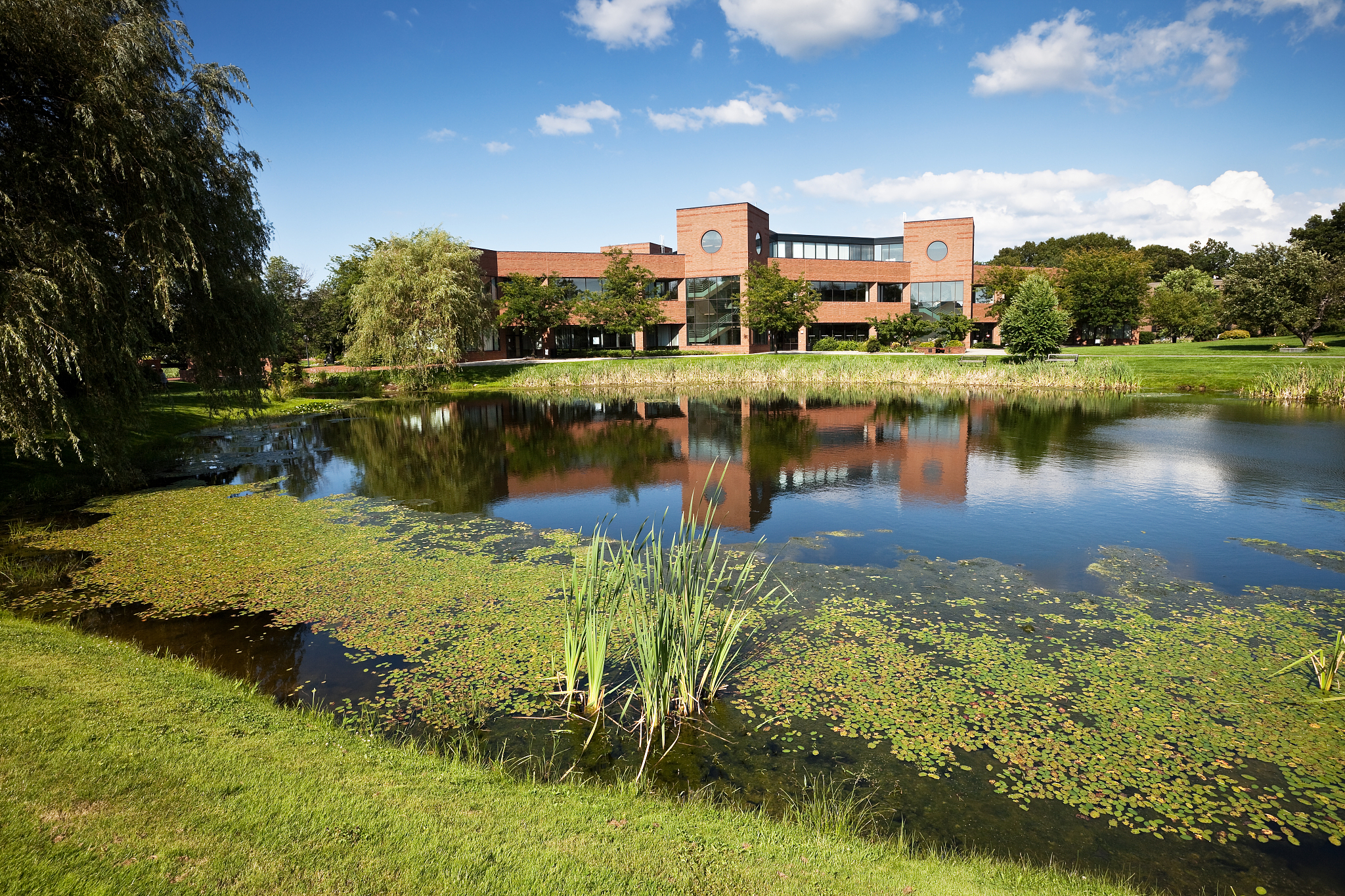 bryant university rhode island