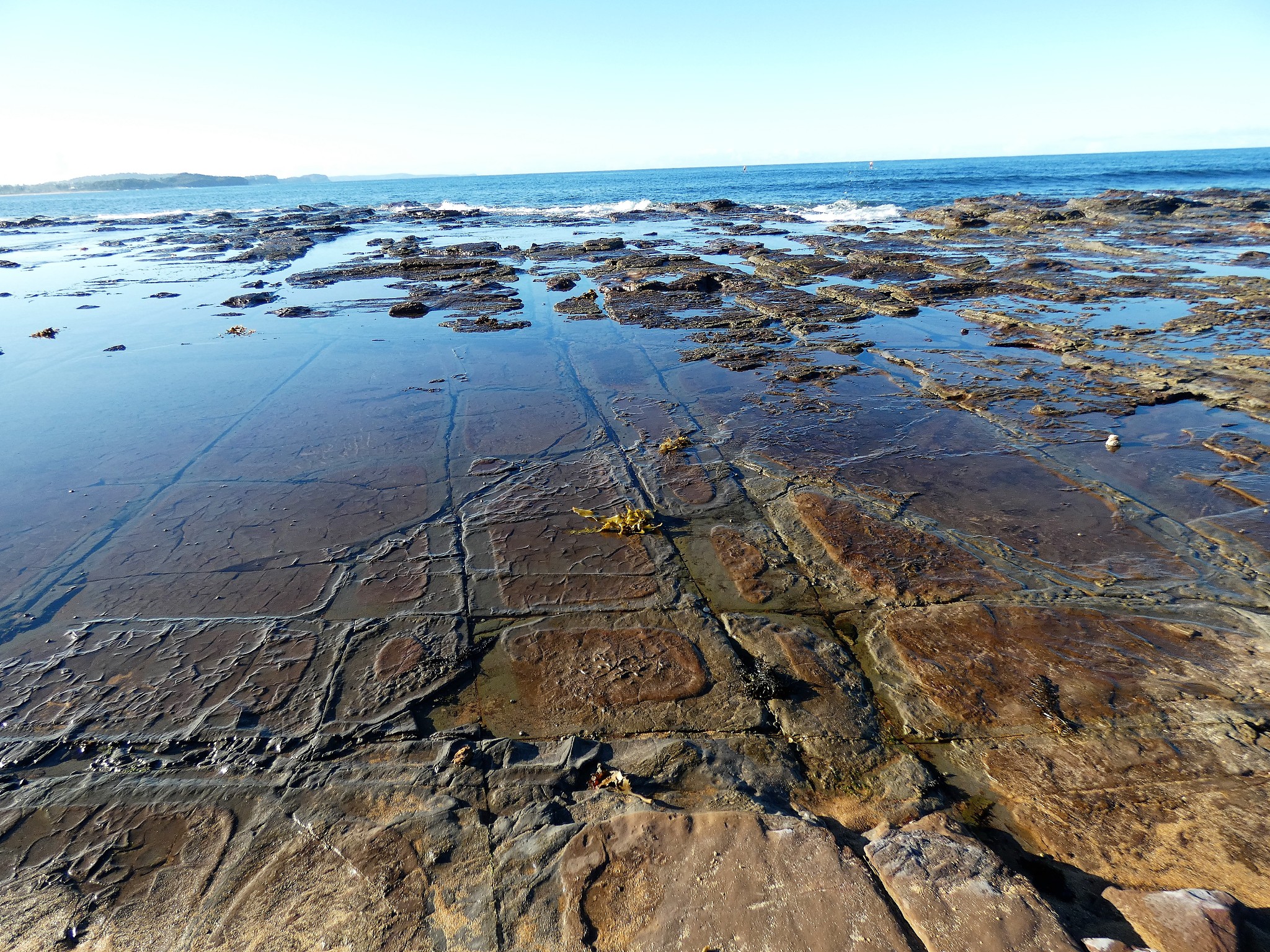 澳大利亚土地退化：原因、政策及解决措施