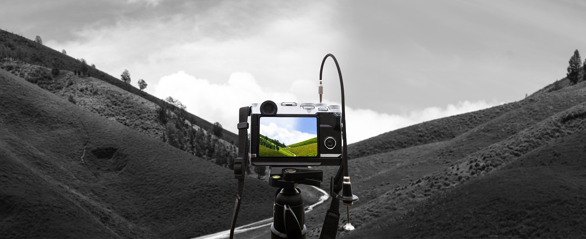 如何选择合适的摄影器材？一份全面指南