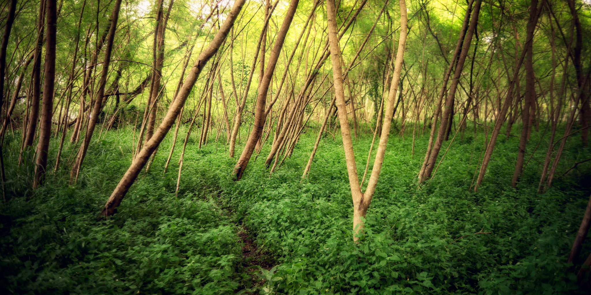 UndertaleModTool如何使用