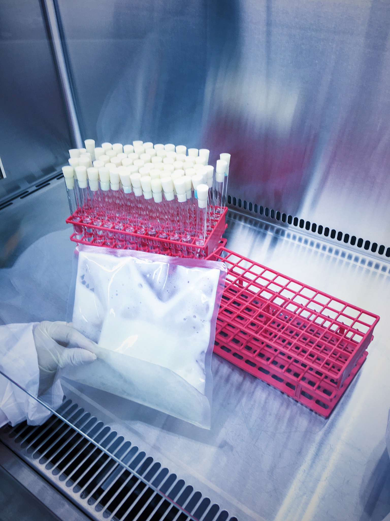 HBSAC 水凝胶支架：用于软骨再生工程的新型生物材料