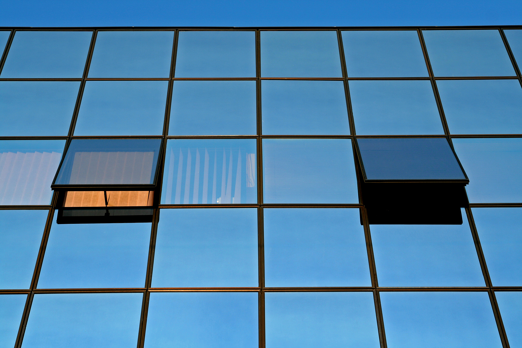 windows