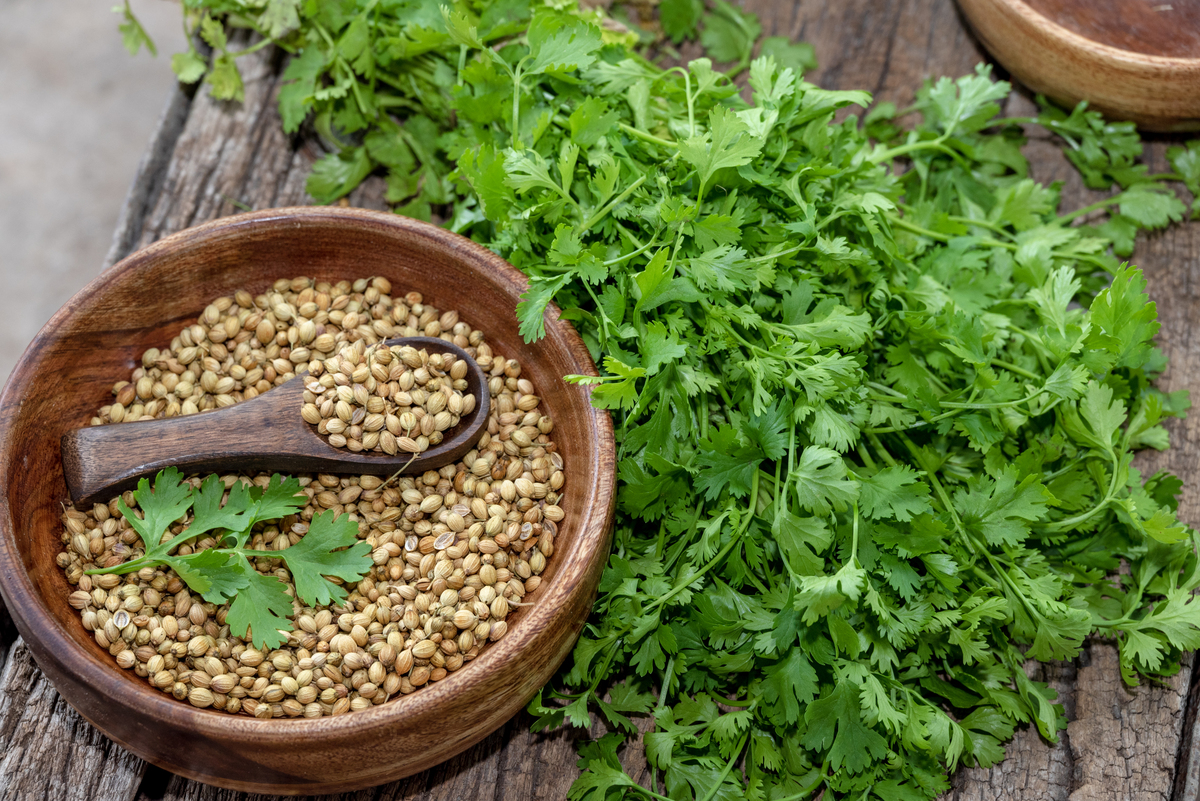 菲菜子怎么吃才能壮阳