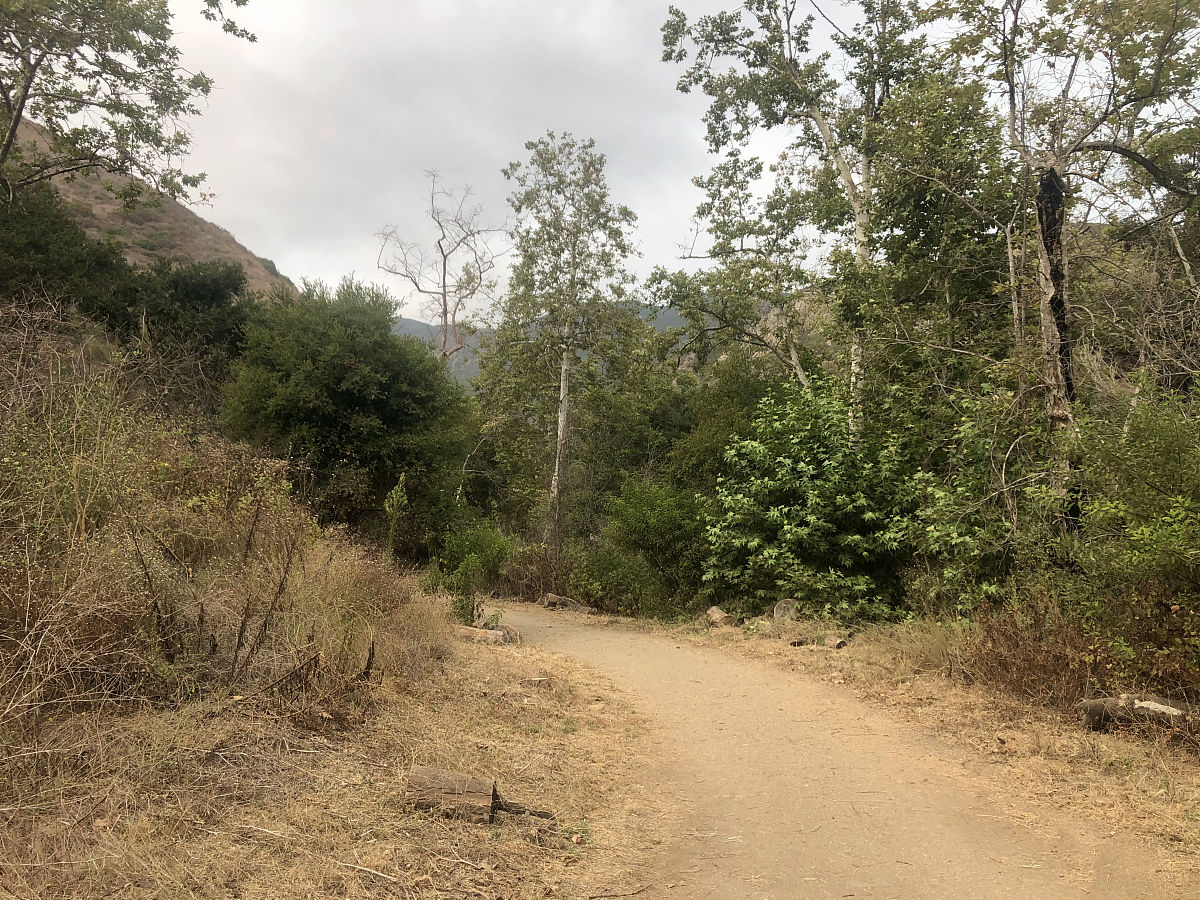 什么地方的路最窄？