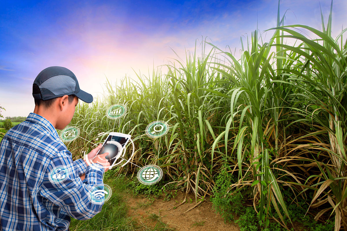 南京华东信息工程技工学校2021年招生专业：计算机、网络、信息等多个方向