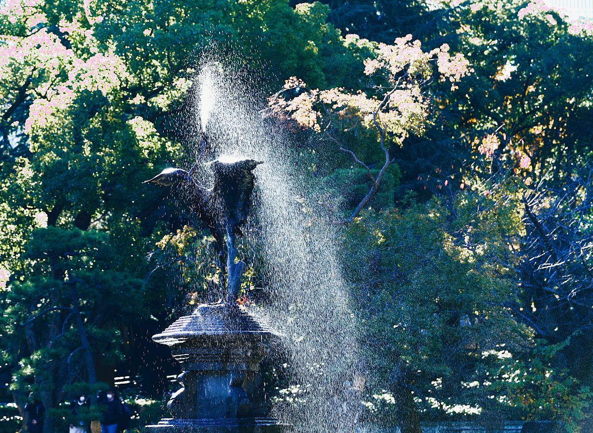 图像级注释和像素级注释的区别
