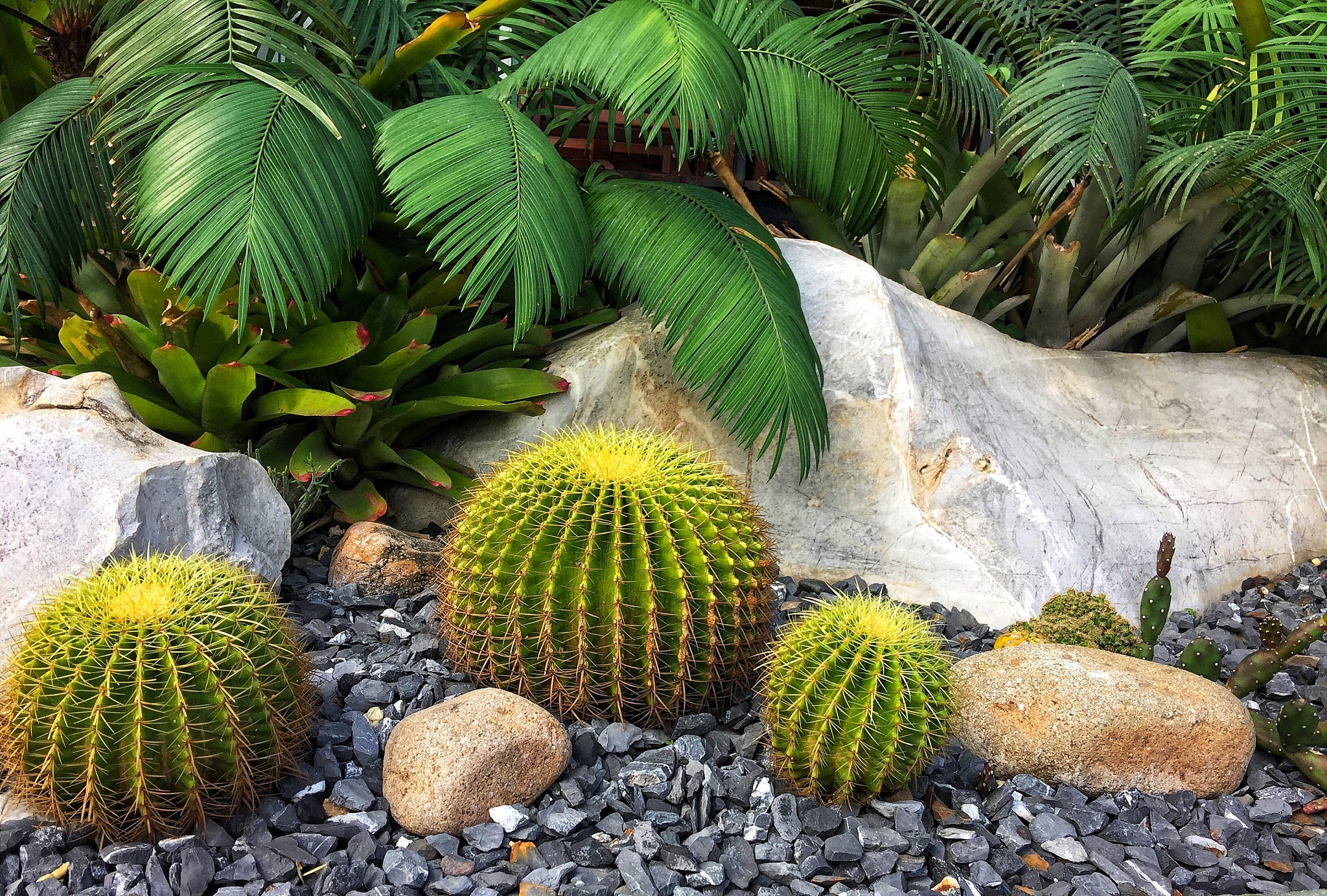 风景园林专业课程有哪些 主要学什么