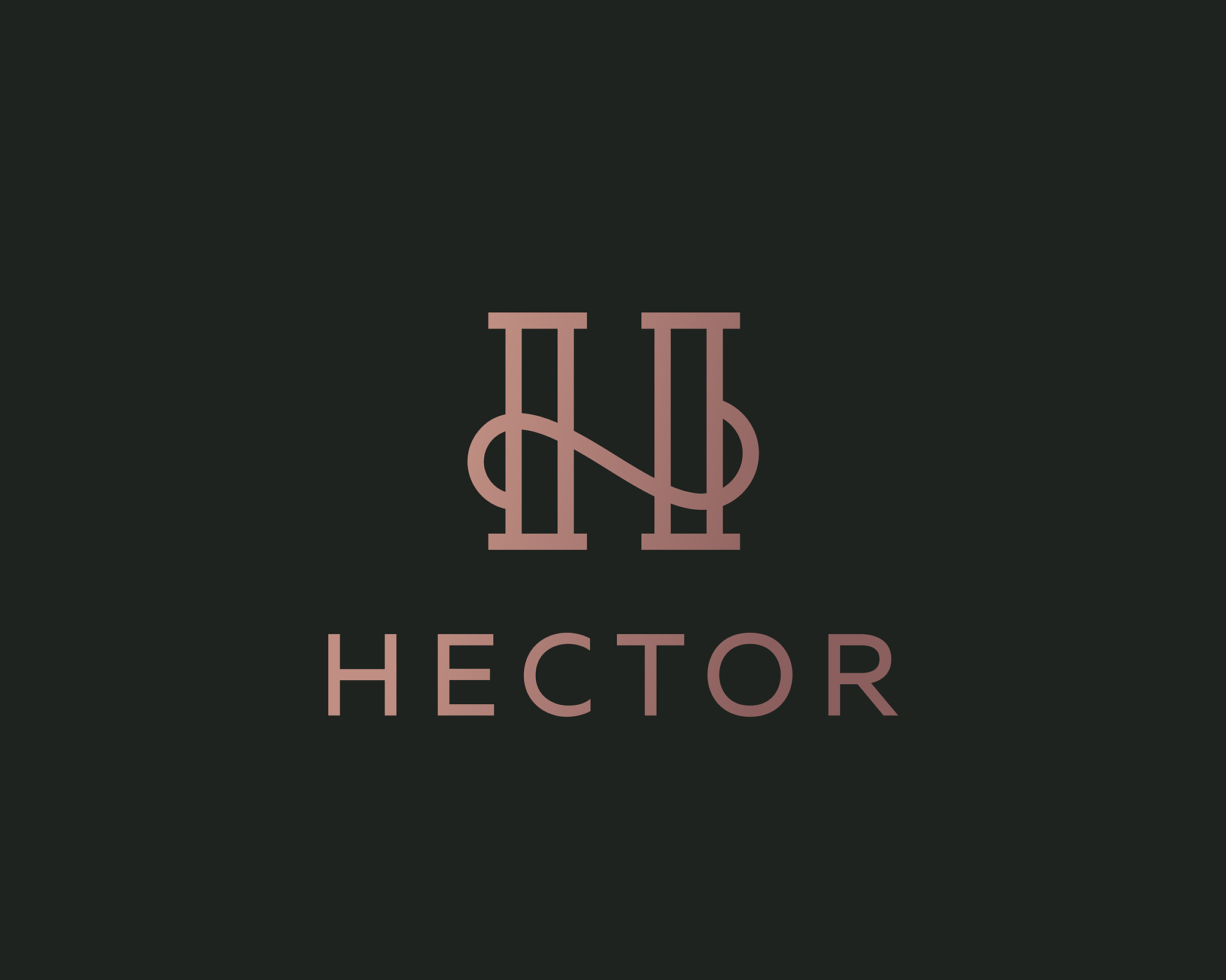 elegant line curve logotype premium letter
