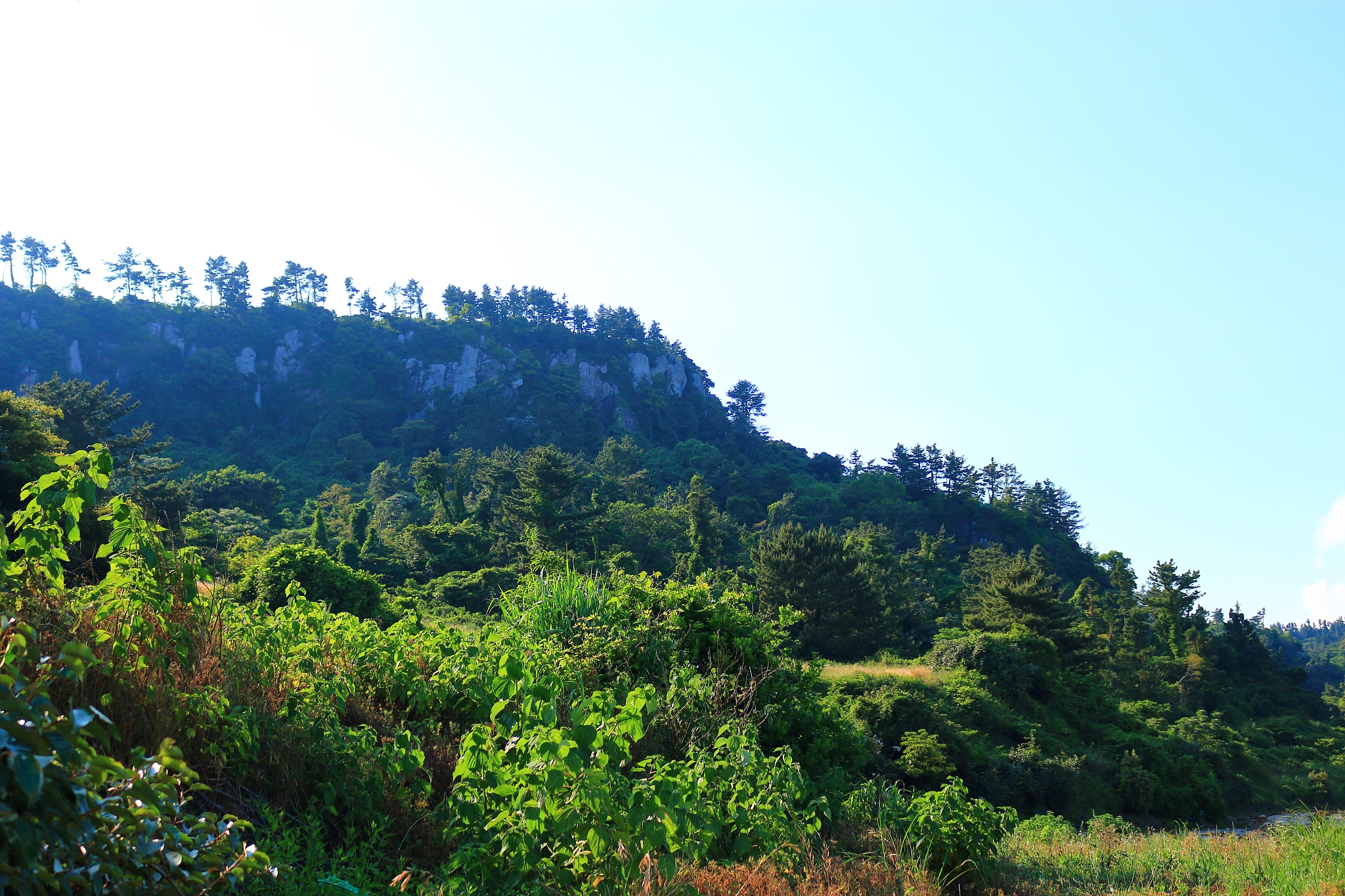 park, cliffs, coast, coast,