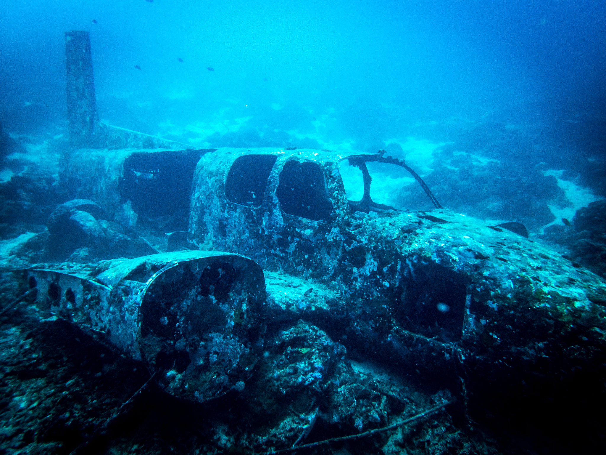 airplane wreck
