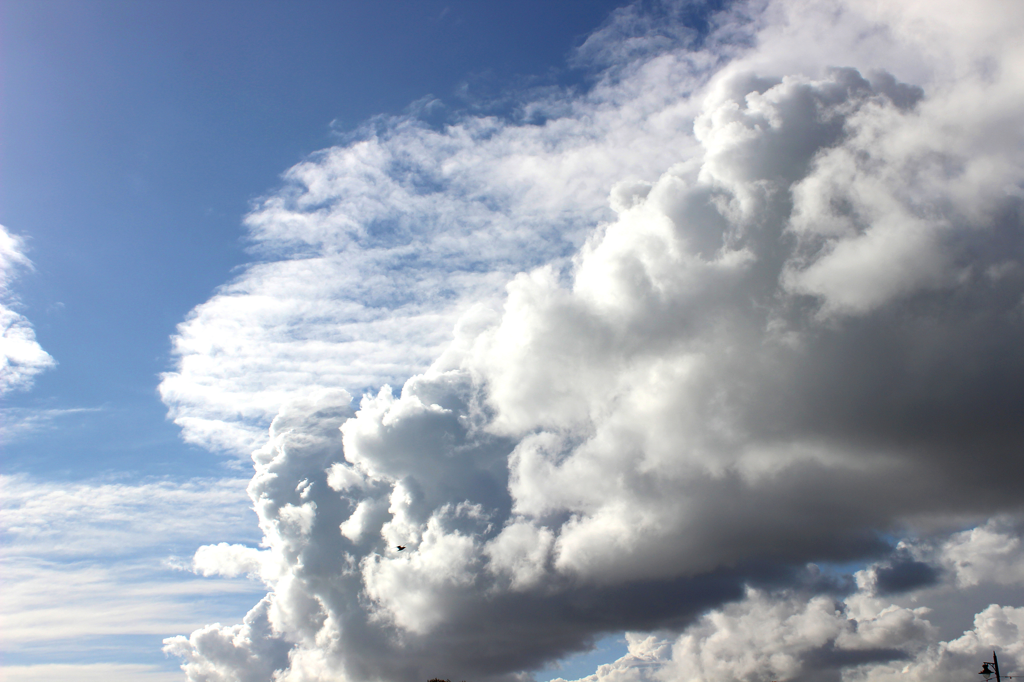 天上的云朵真是变化万千啊写一段话