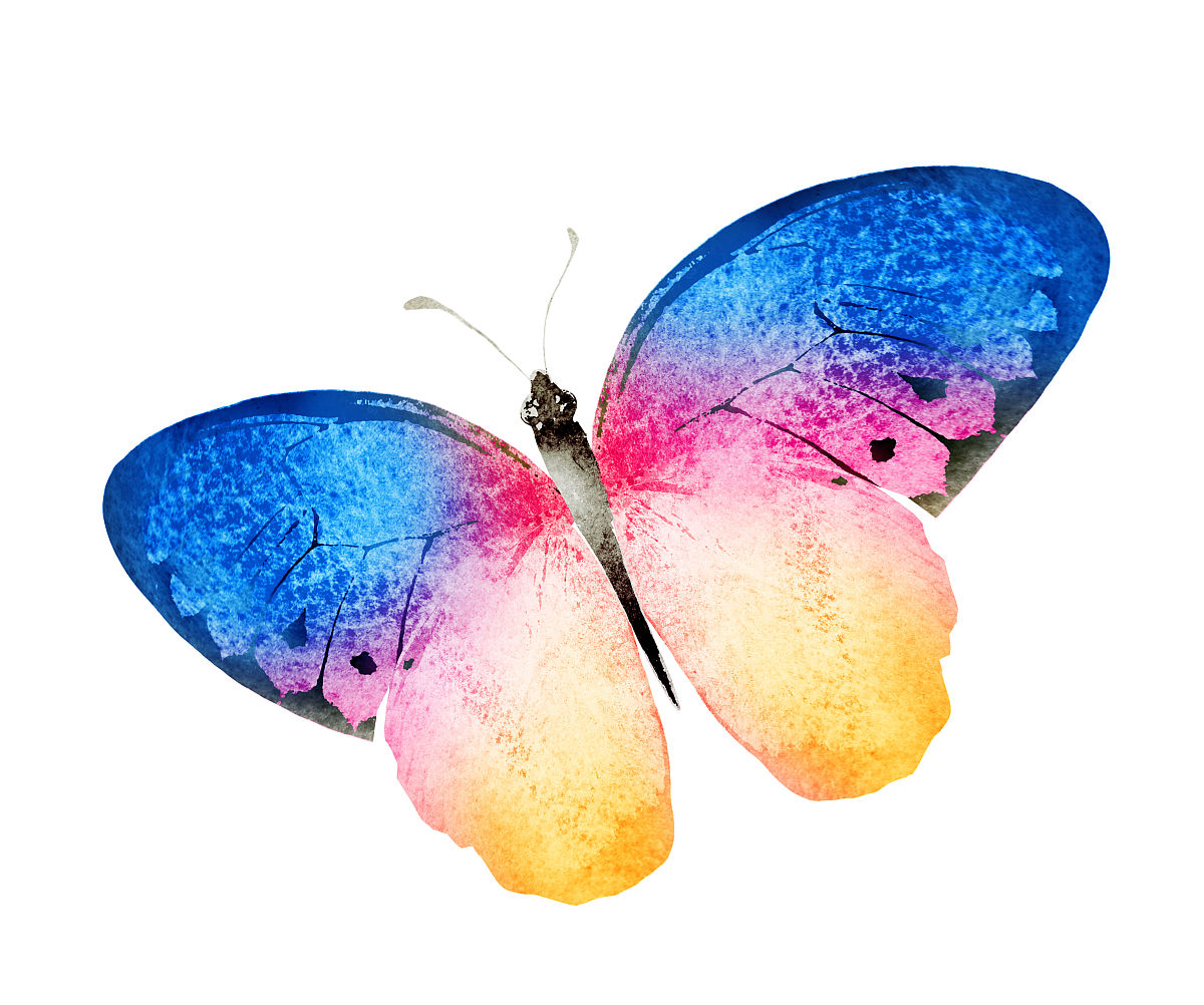 小画家和小蝴蝶：关于自由与美的感人故事