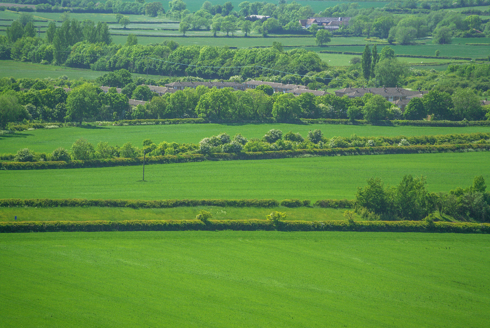 field