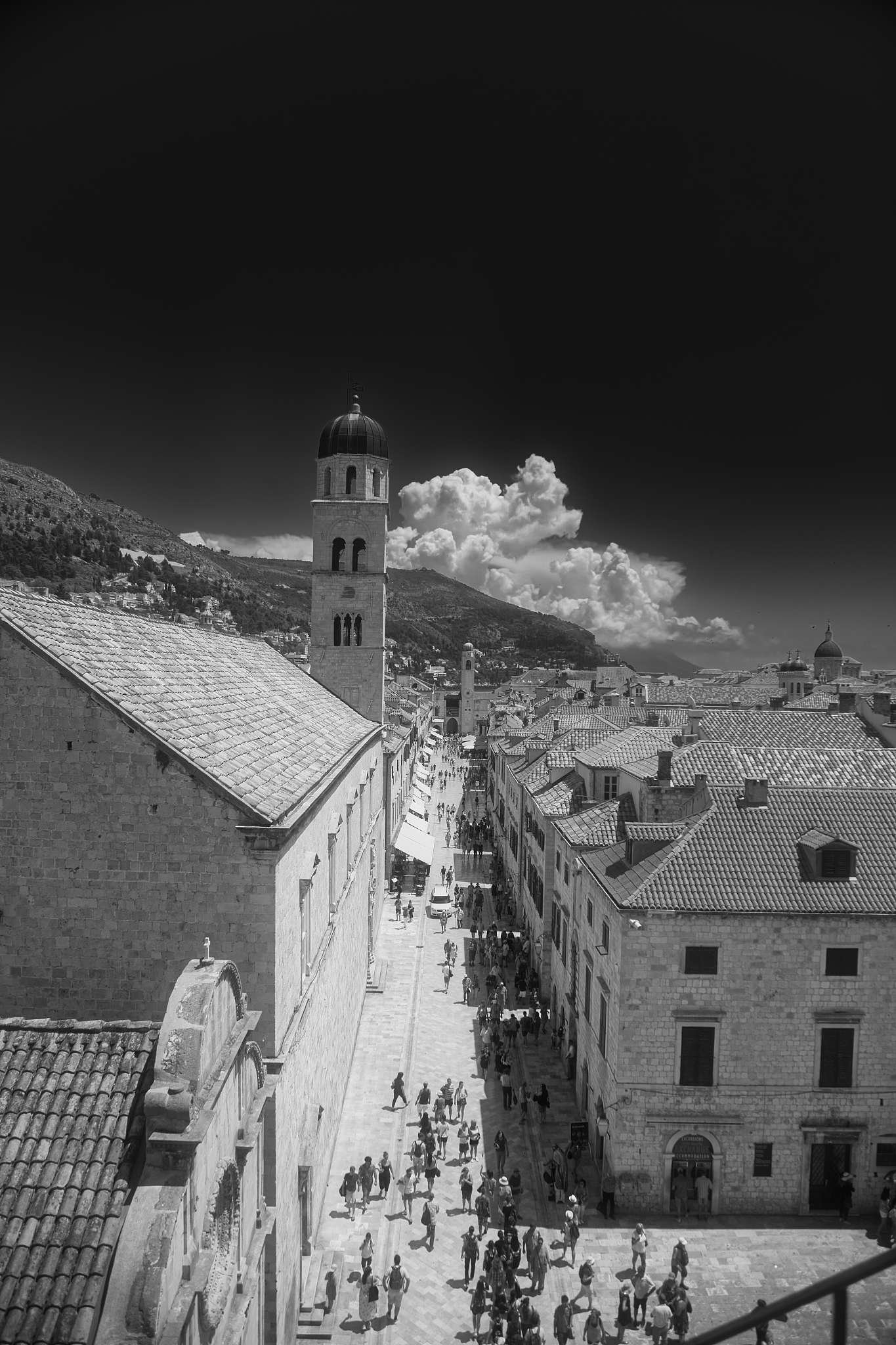 dubrovnik view (bnw)