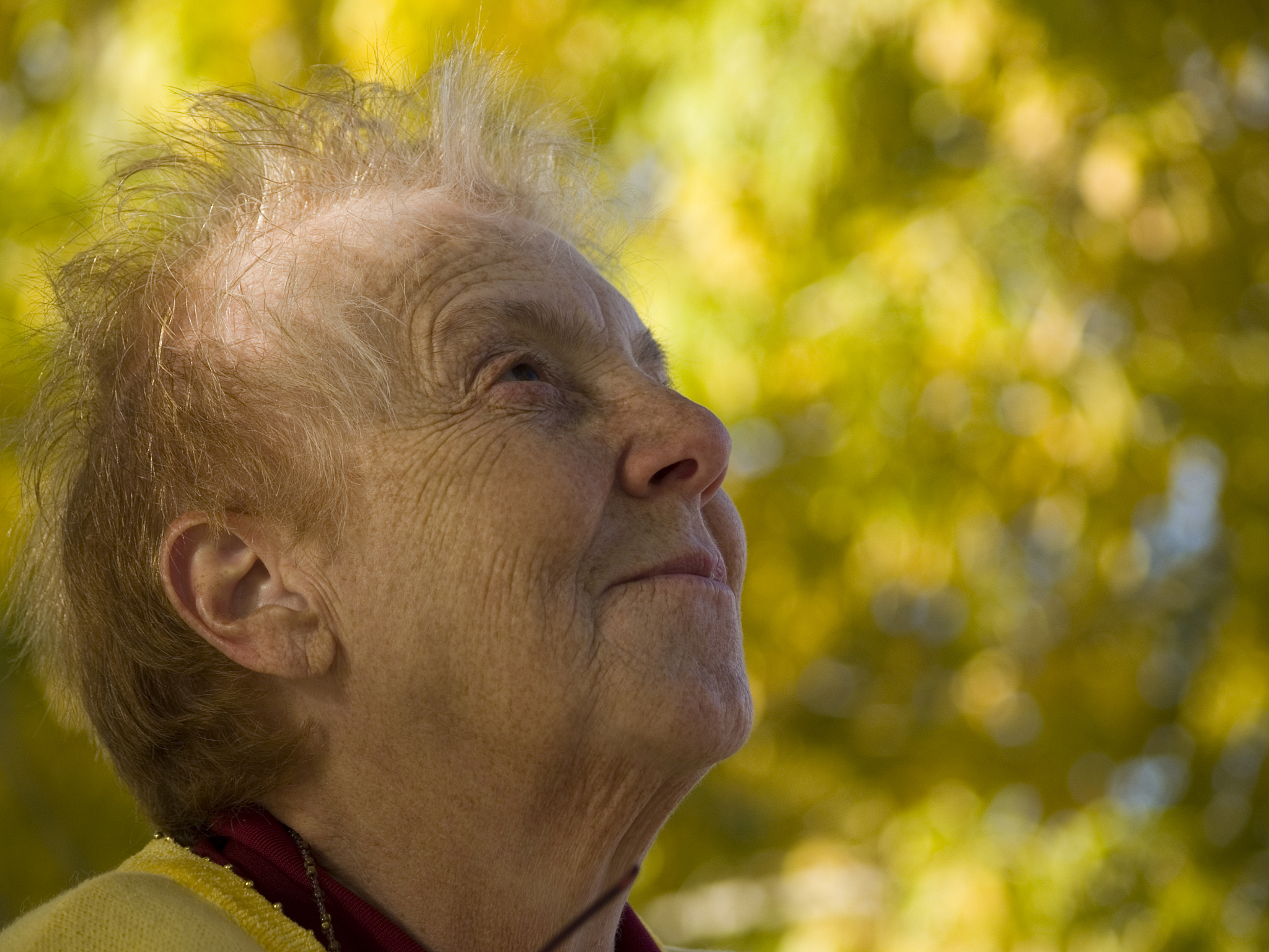 《我爱你！》与《依然爱丽丝》：关于阿尔兹海默症和年老困境的思考