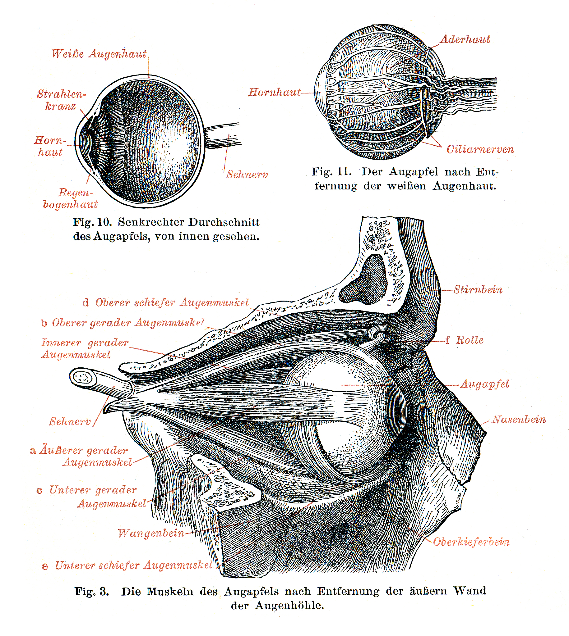 setseed155 VarsC-c住院次数左主干血管狭窄程度左主干TIMI血流分级 左回旋支血管狭窄程度左回旋支TIMI血流分级PCI支架个数#分类变量 fori in VarsC mydatai - asfactormydatai num - roundnrowmydata075 index - samplenrowmydatasize = num mydata_trai