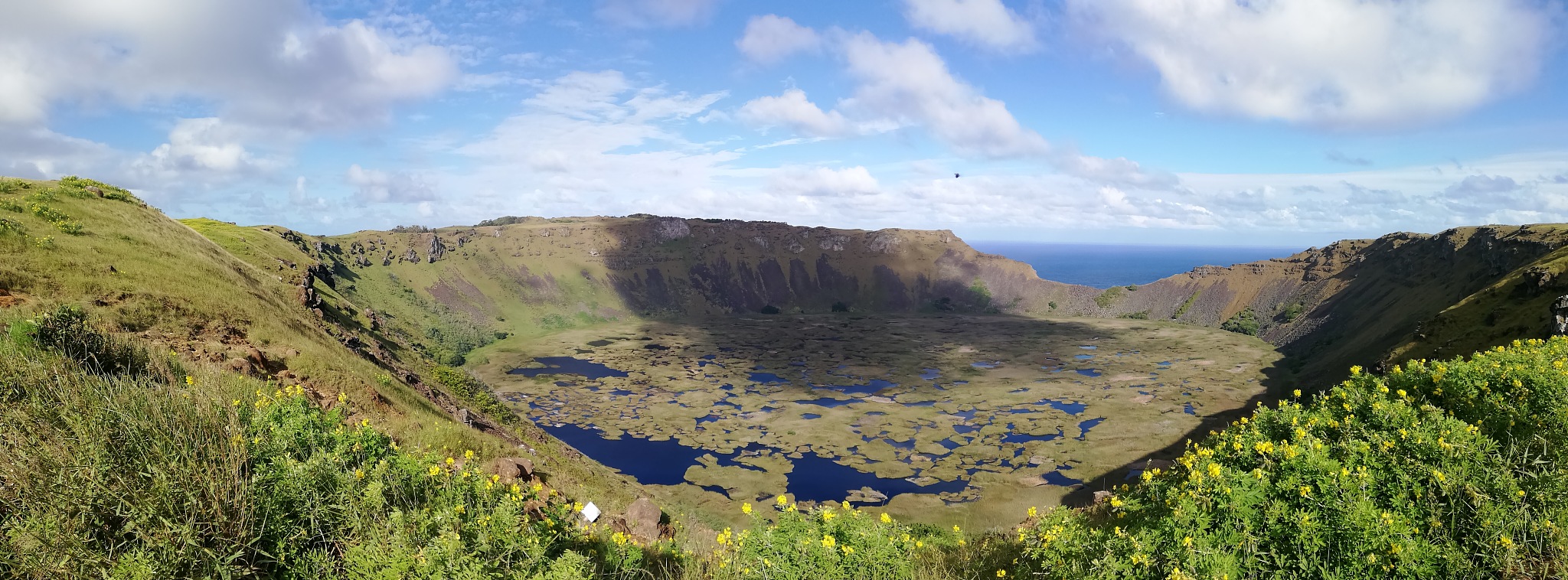 moais in rapa nui