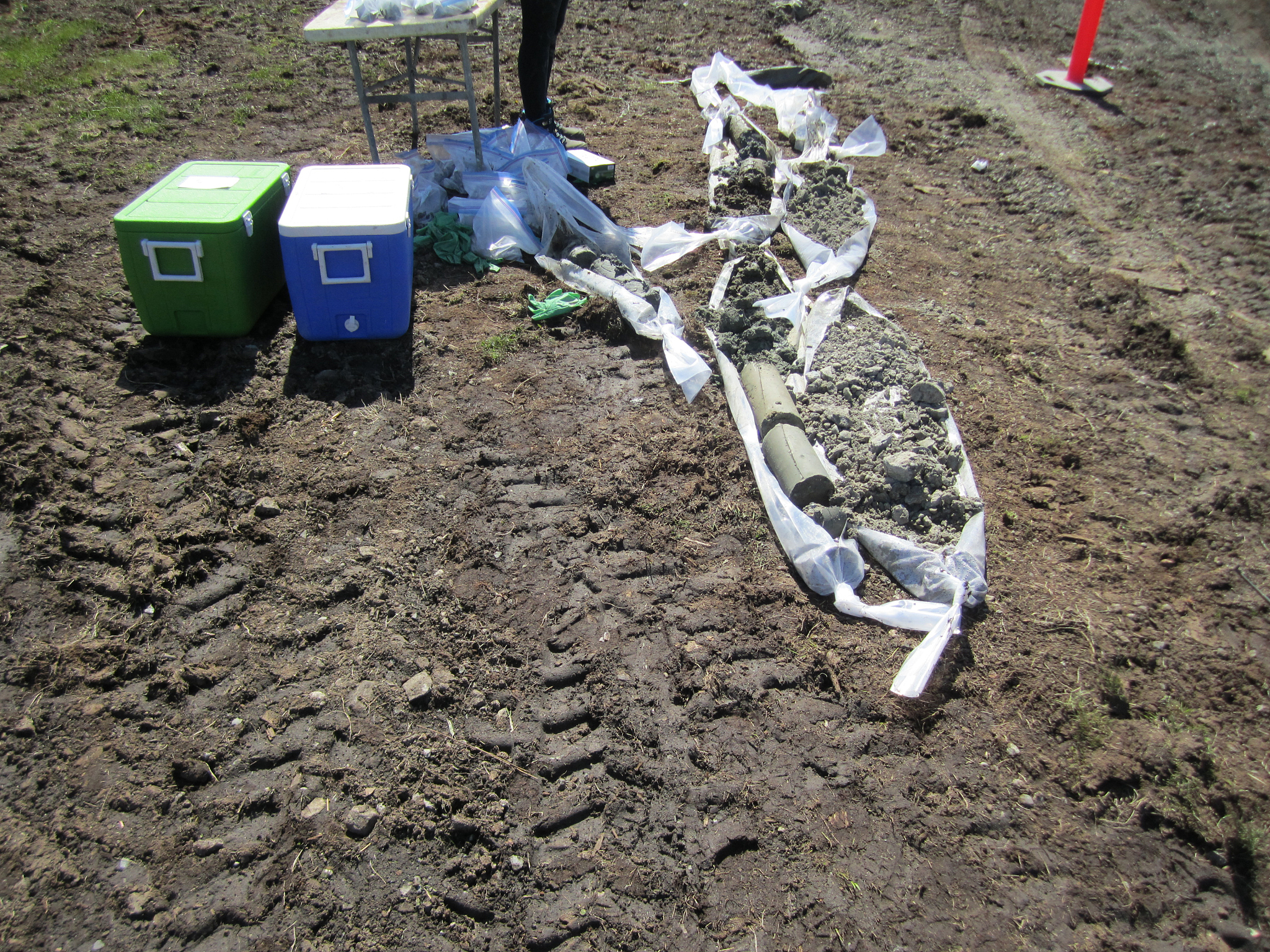 好的土壤安全问题首次被提出